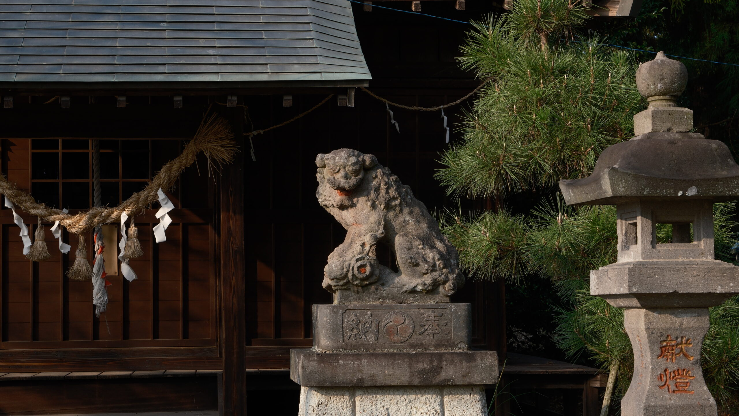 高龗神社　上三川町東汗　狛犬