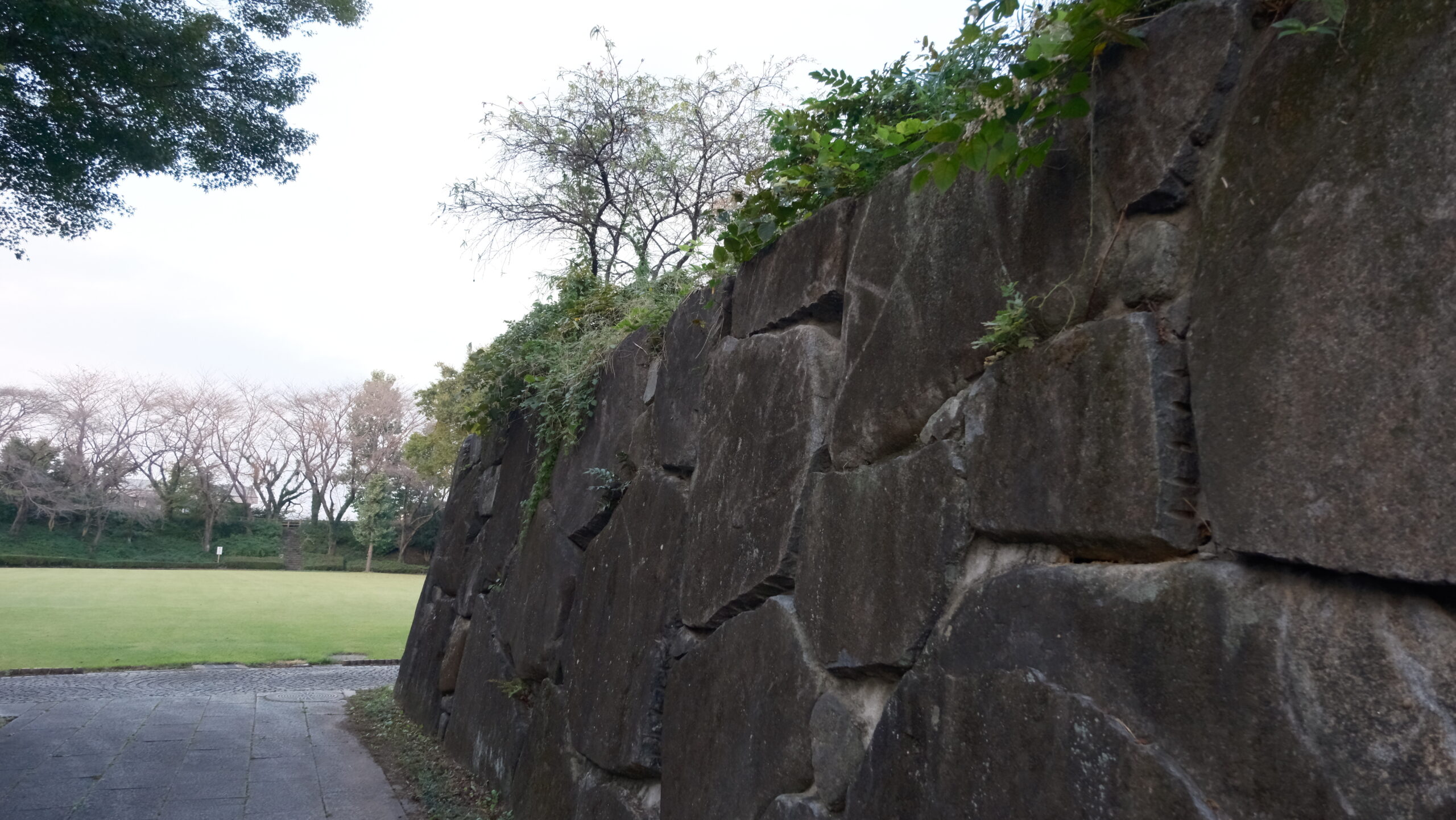 上三川城址公園　土塁