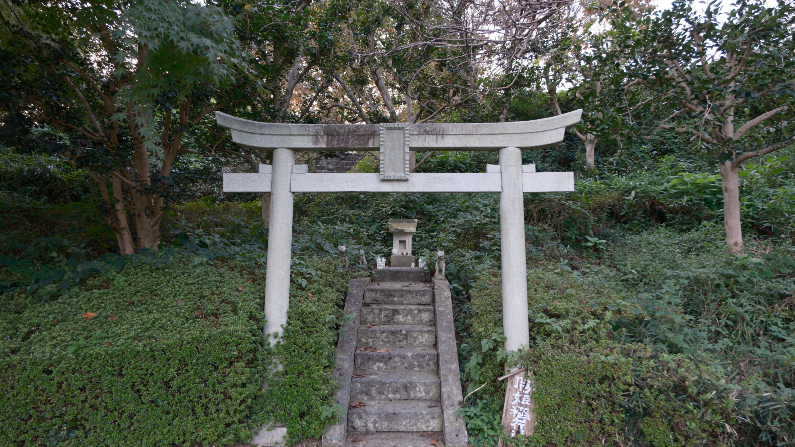 勝姫稲荷神社　鳥居