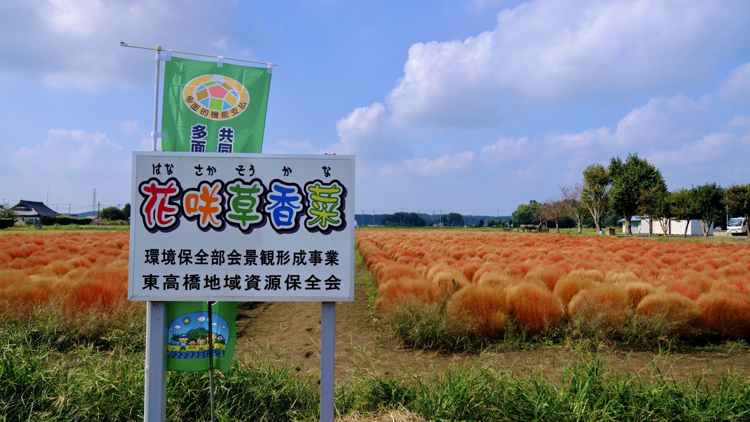 東高橋コキア園　看板