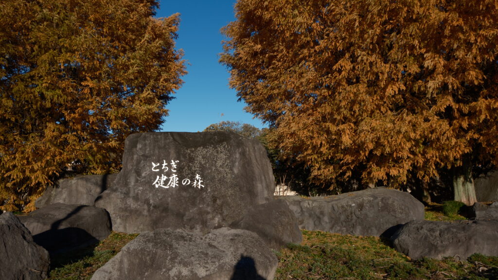 とちぎ健康の森　宇都宮市駒生町