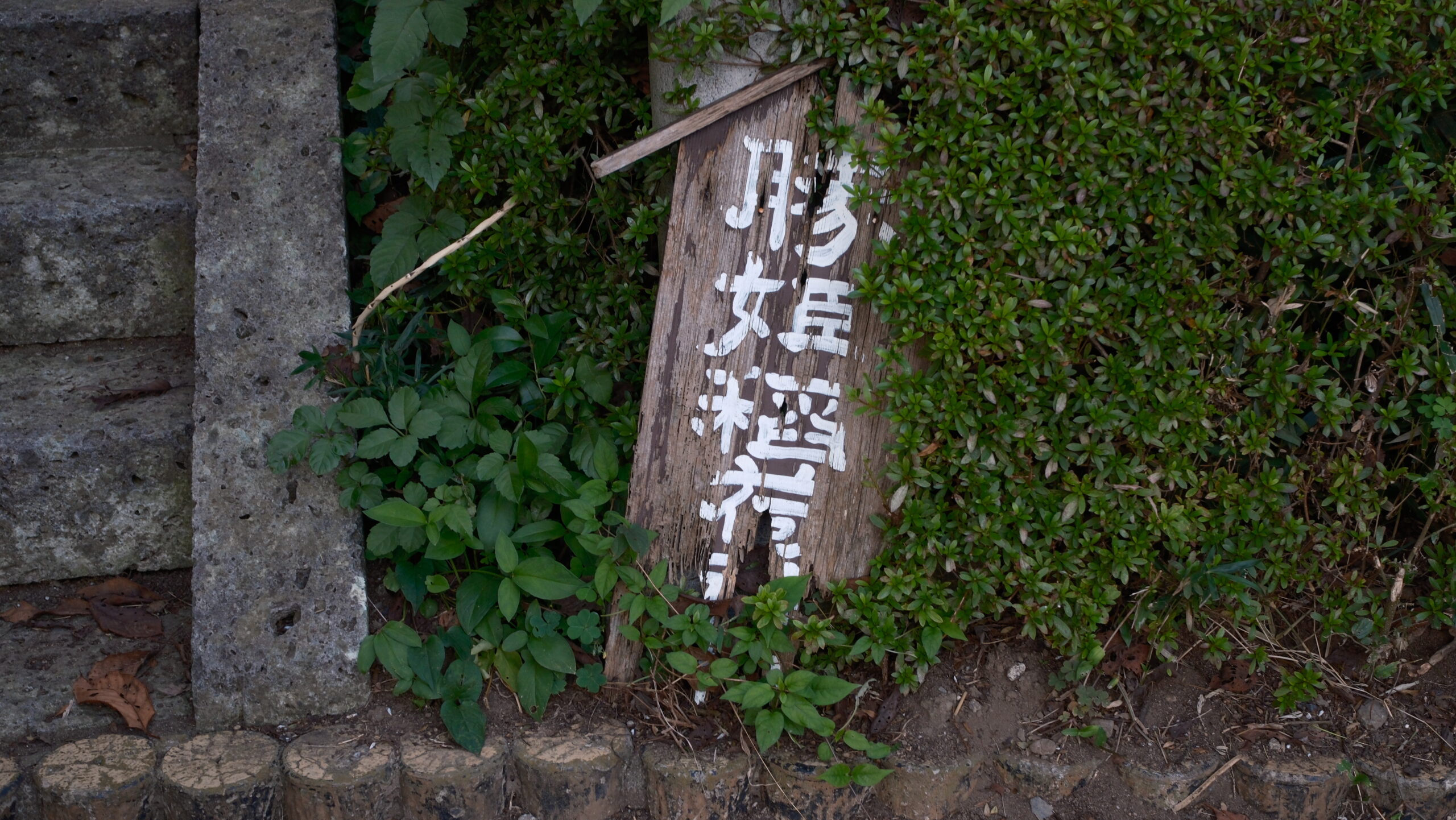 勝姫稲荷神社　看板