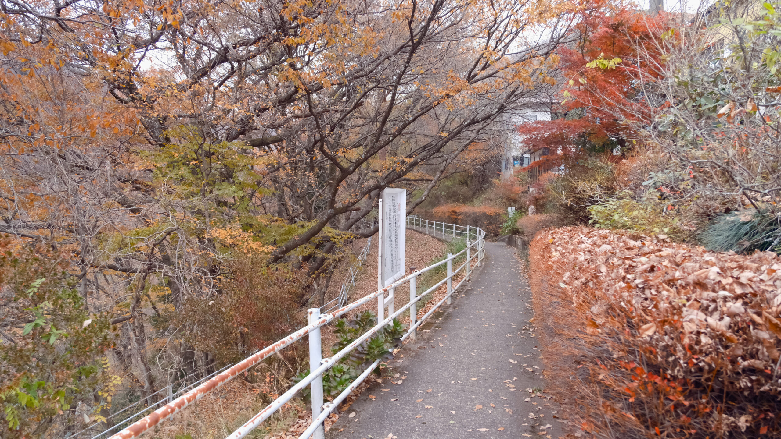 駐車場から龍王峡