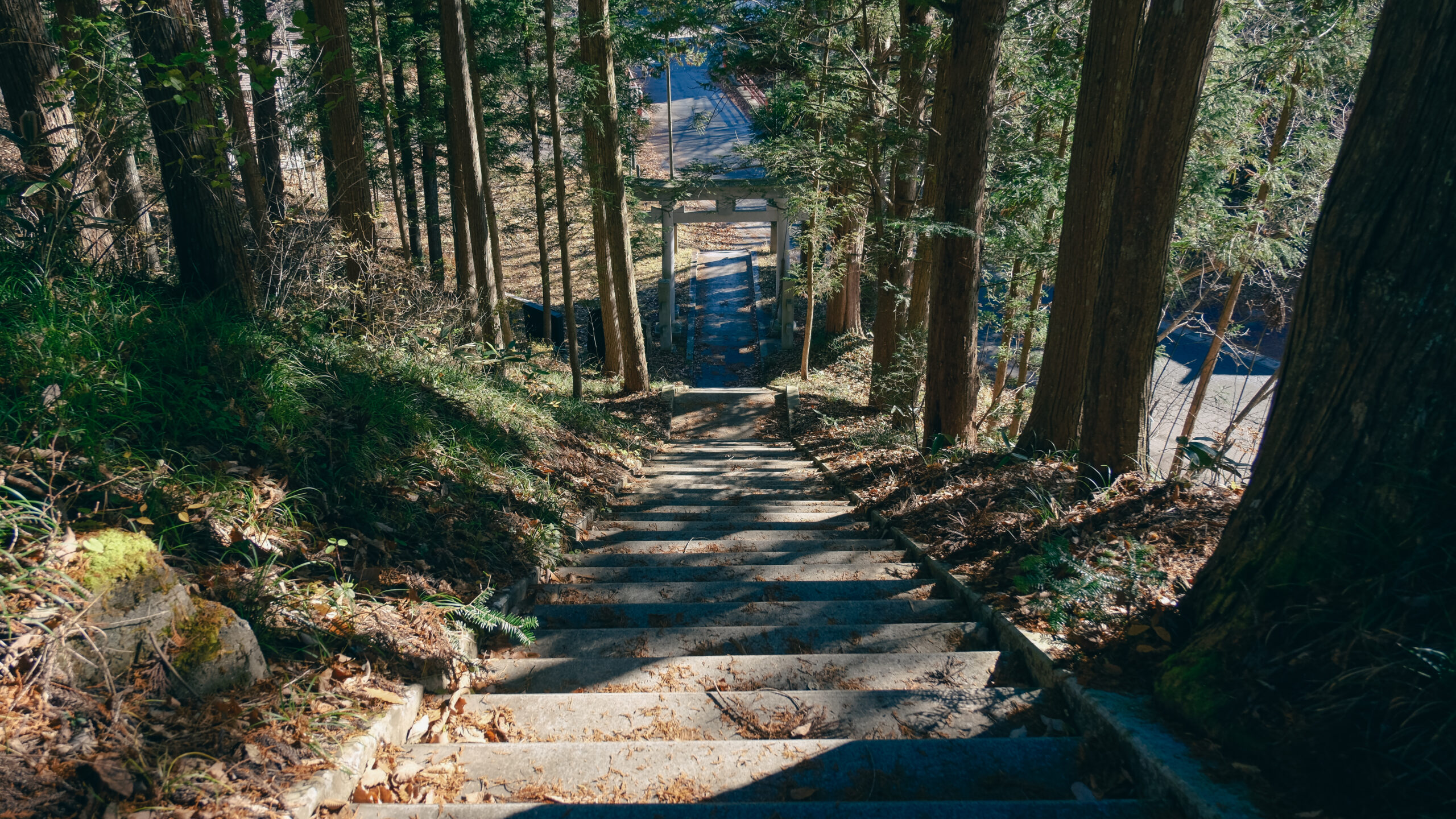 高房神社　日光湯西川　参道