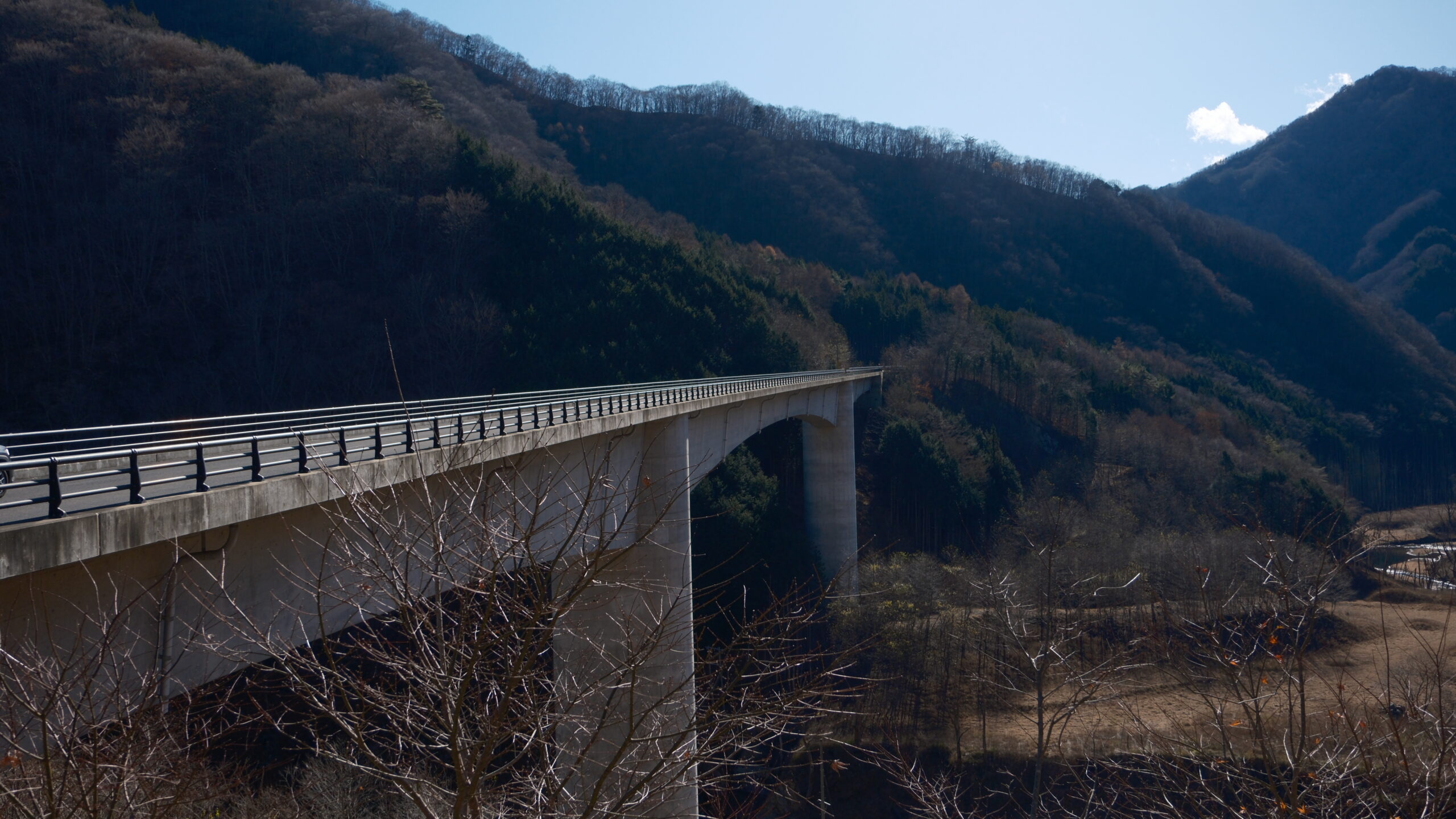 臼の平紅葉大橋