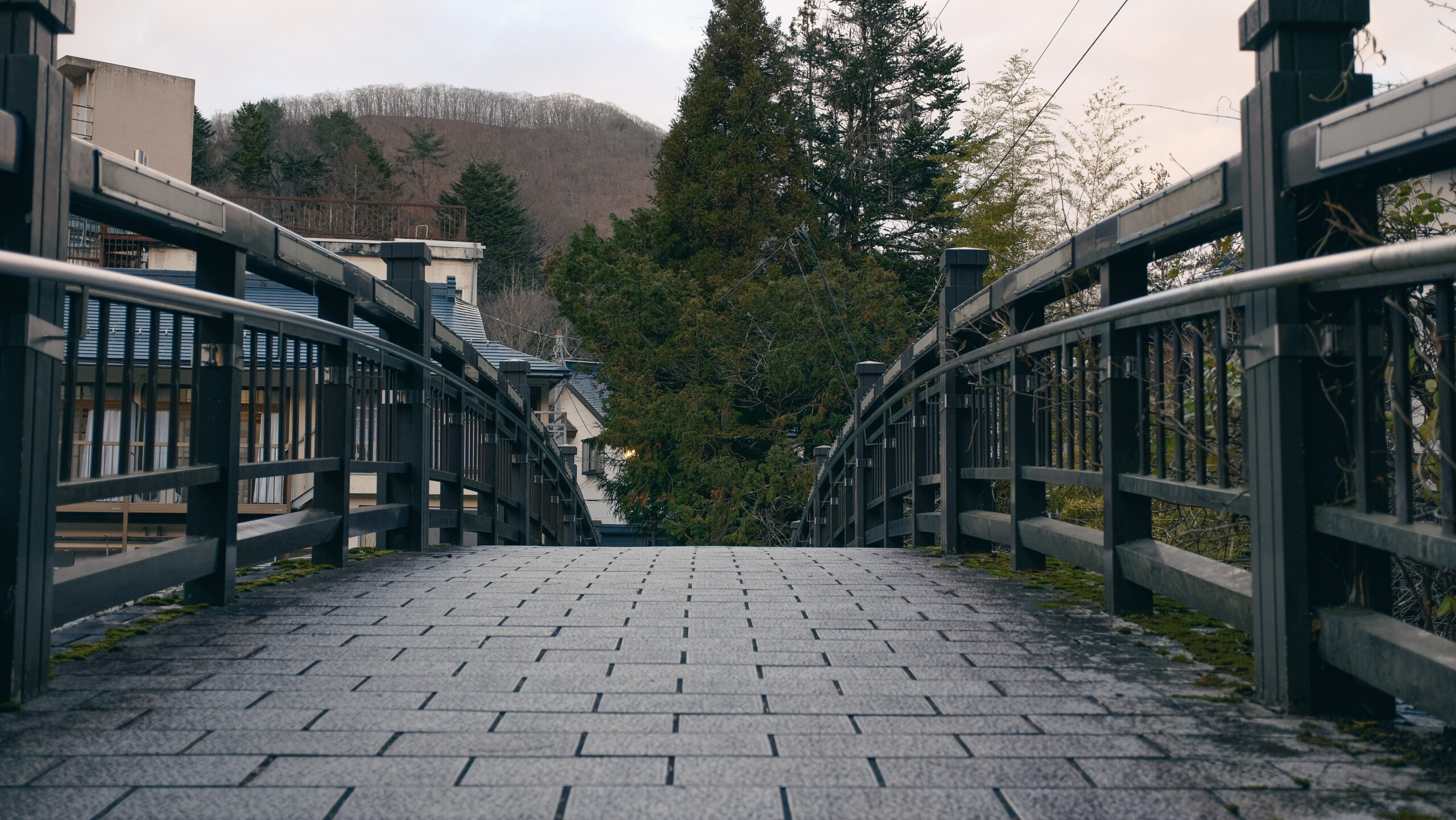 平家集落　湯前橋　湯西川