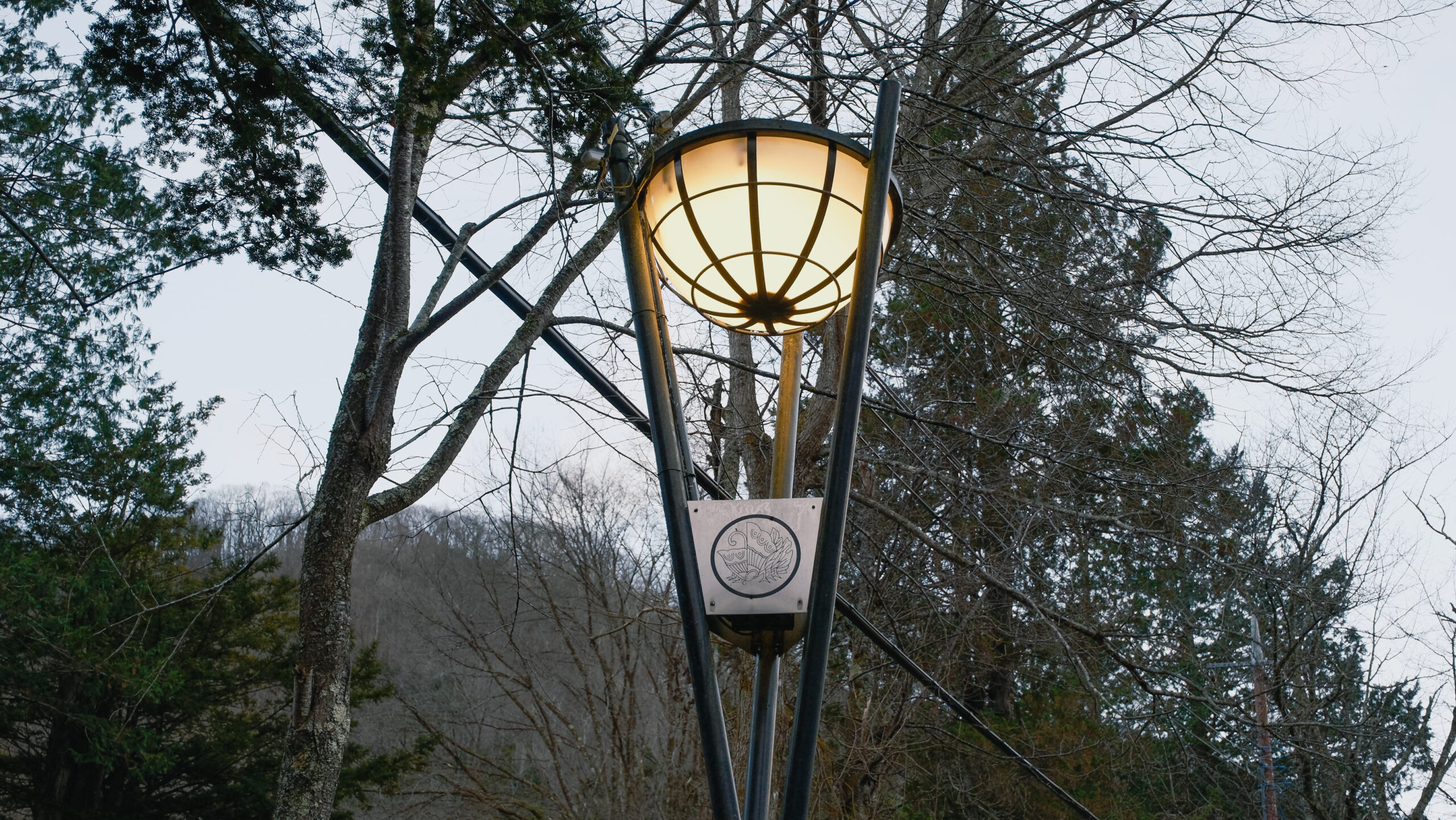 平家集落　平家の家紋　街灯