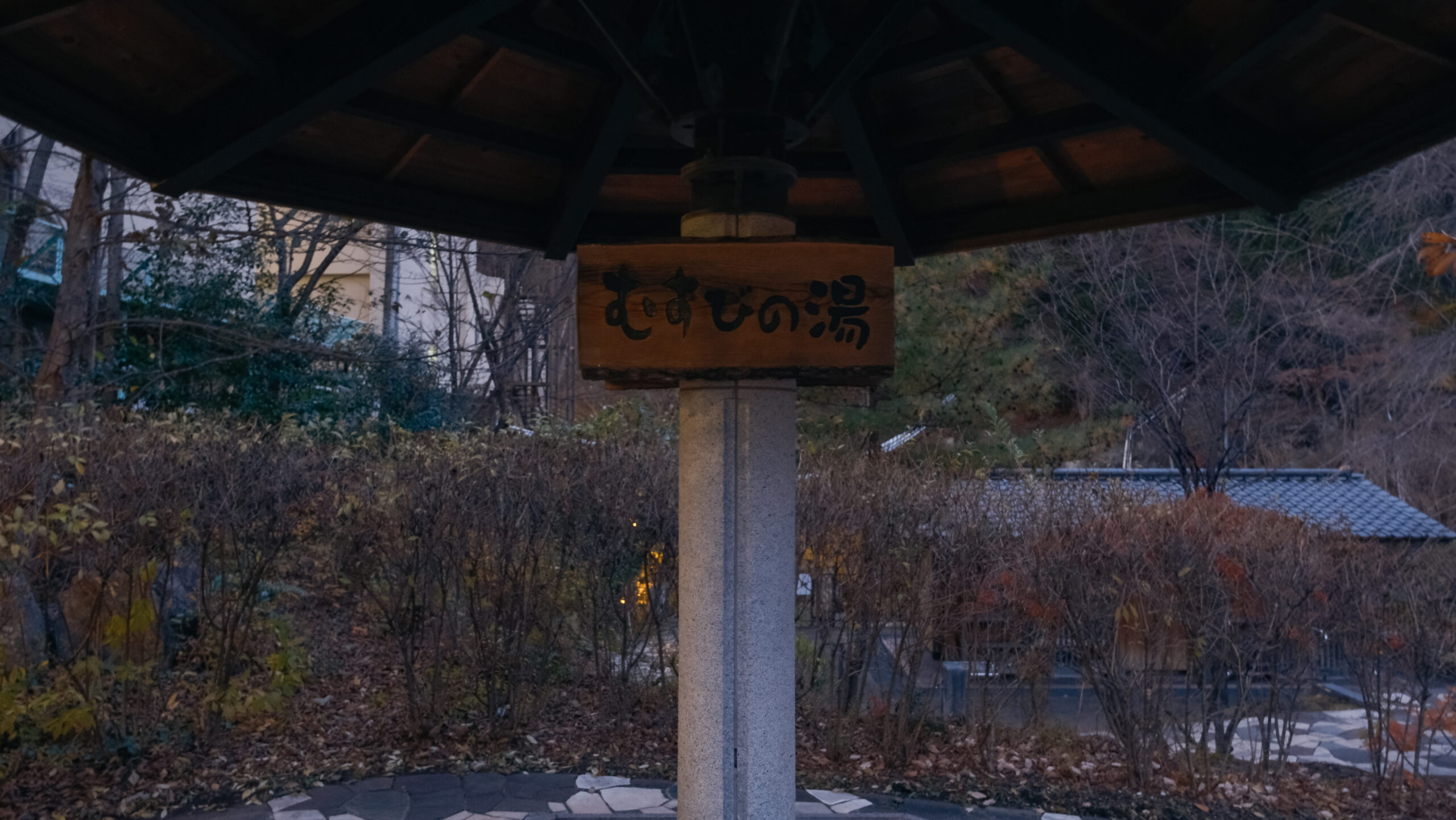 日光　むすびの湯