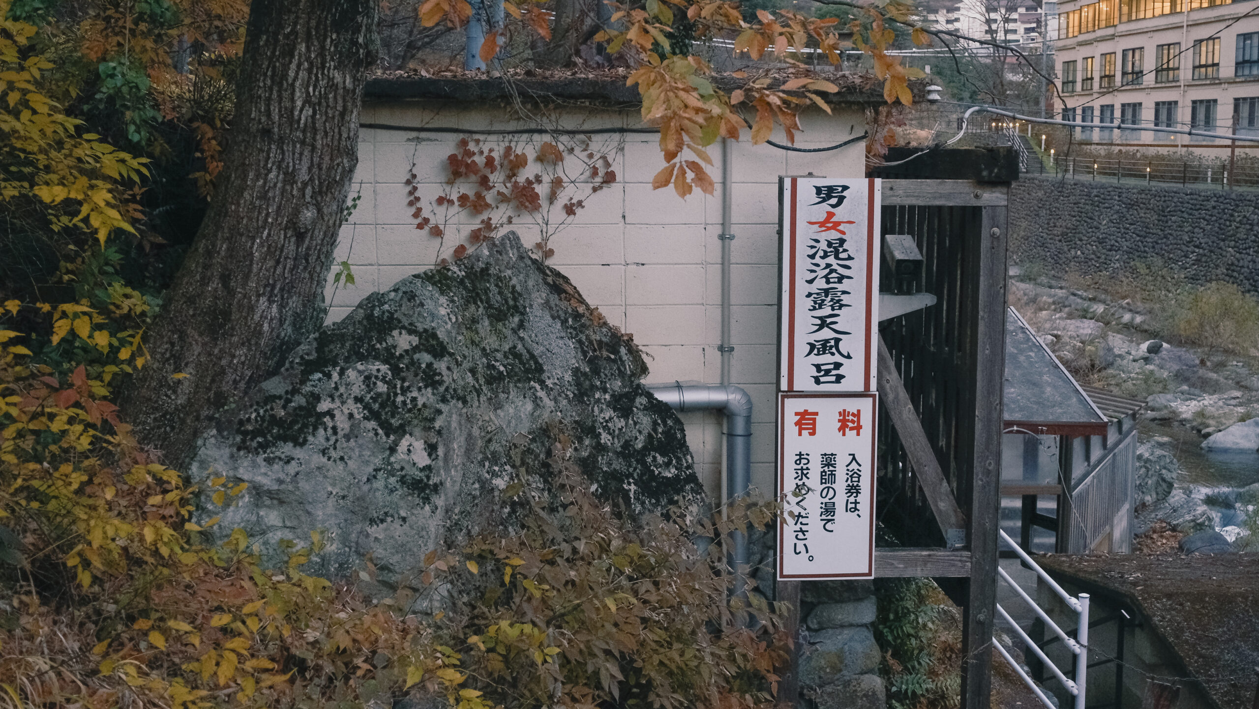 薬師の湯　男女混浴露天風呂