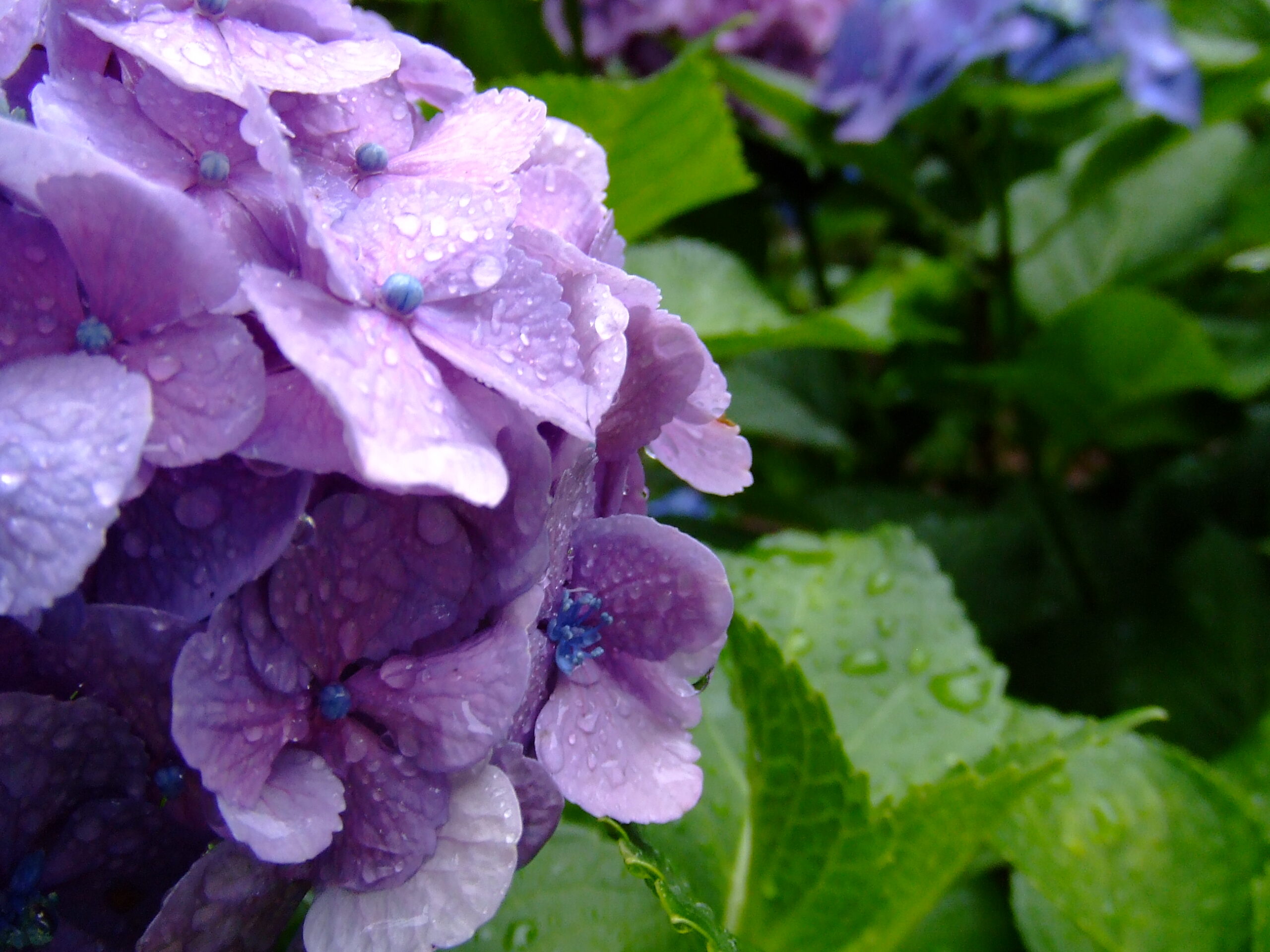 FUJIFILM FinePix Z3　作例