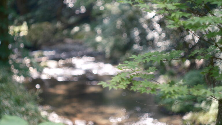 Helios 44M 58mm F2 おすすめ　オールドレンズ
