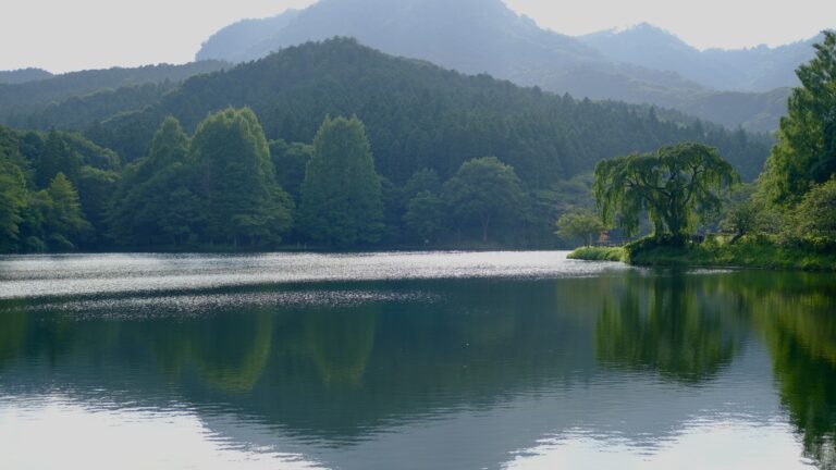 赤川ダム