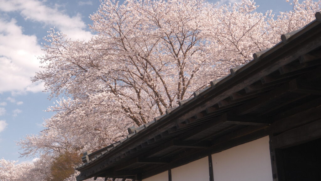 勝山公園 さくら市