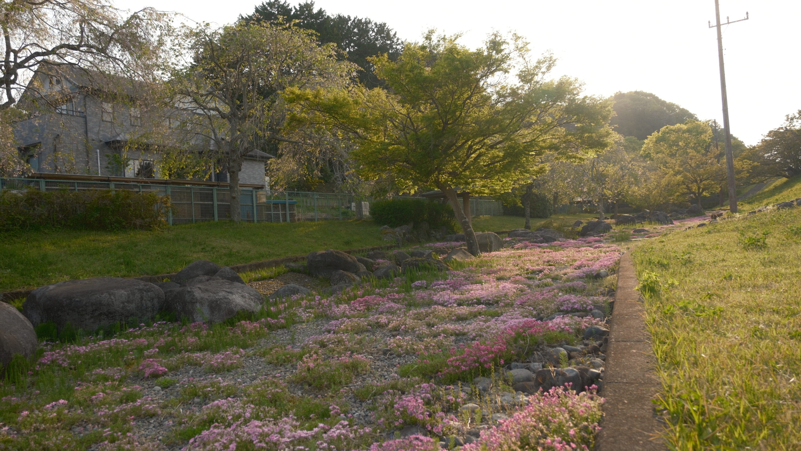 上河内緑水公園　ロックガーデン