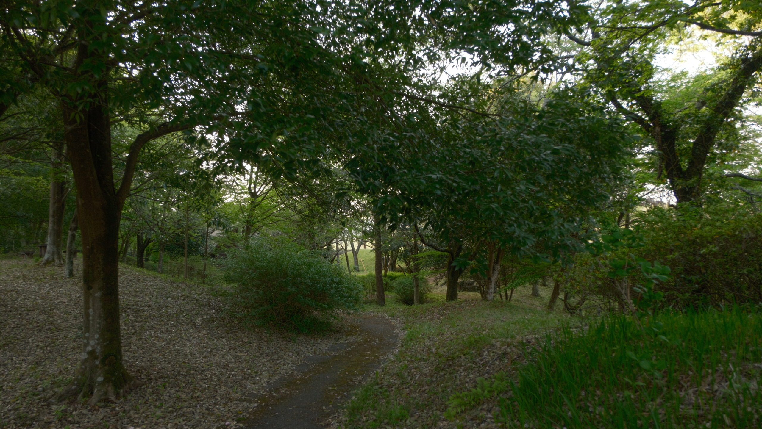 緑陰広場　上河内緑水公園