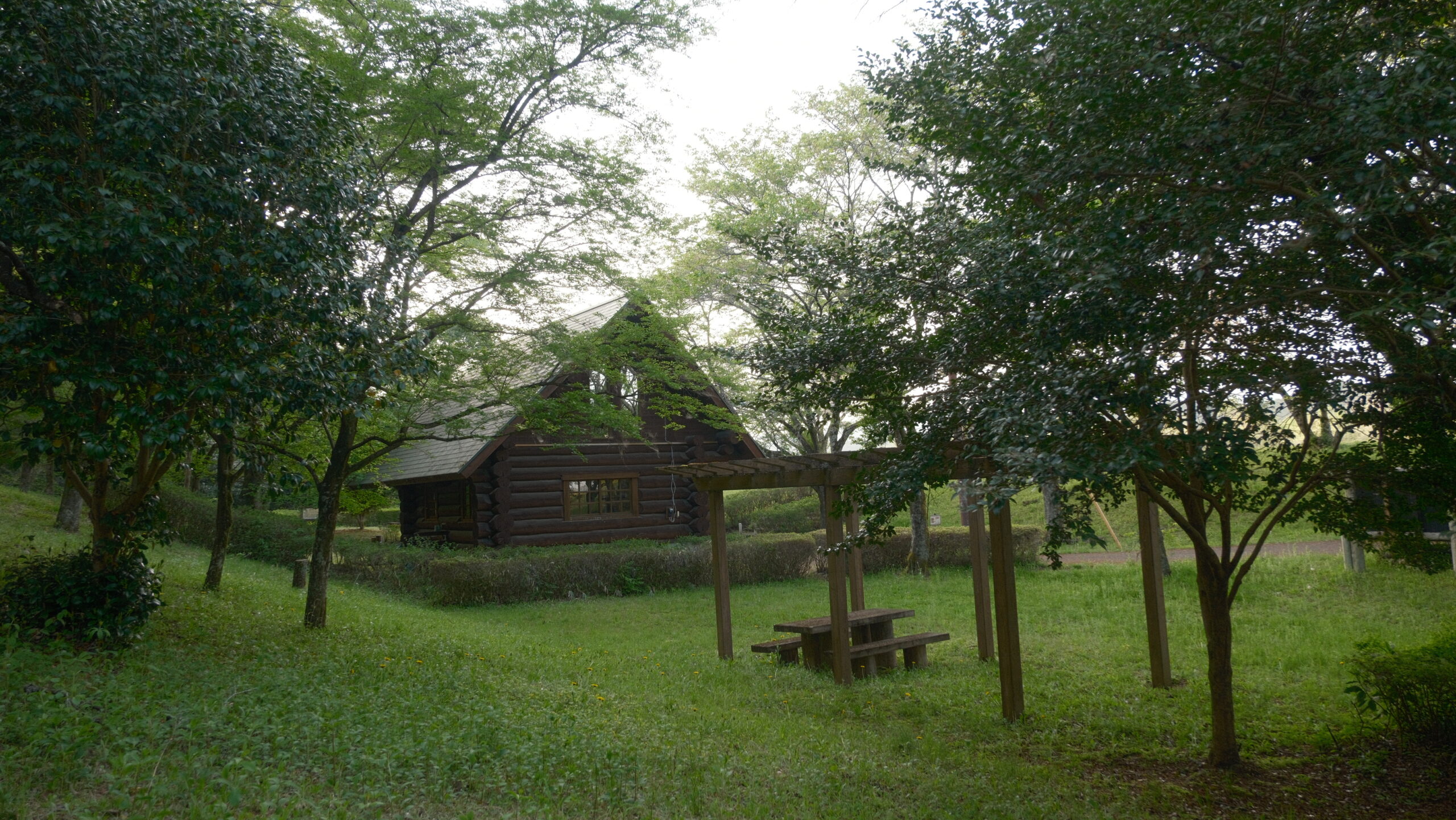 緑陰広場　上河内緑水公園