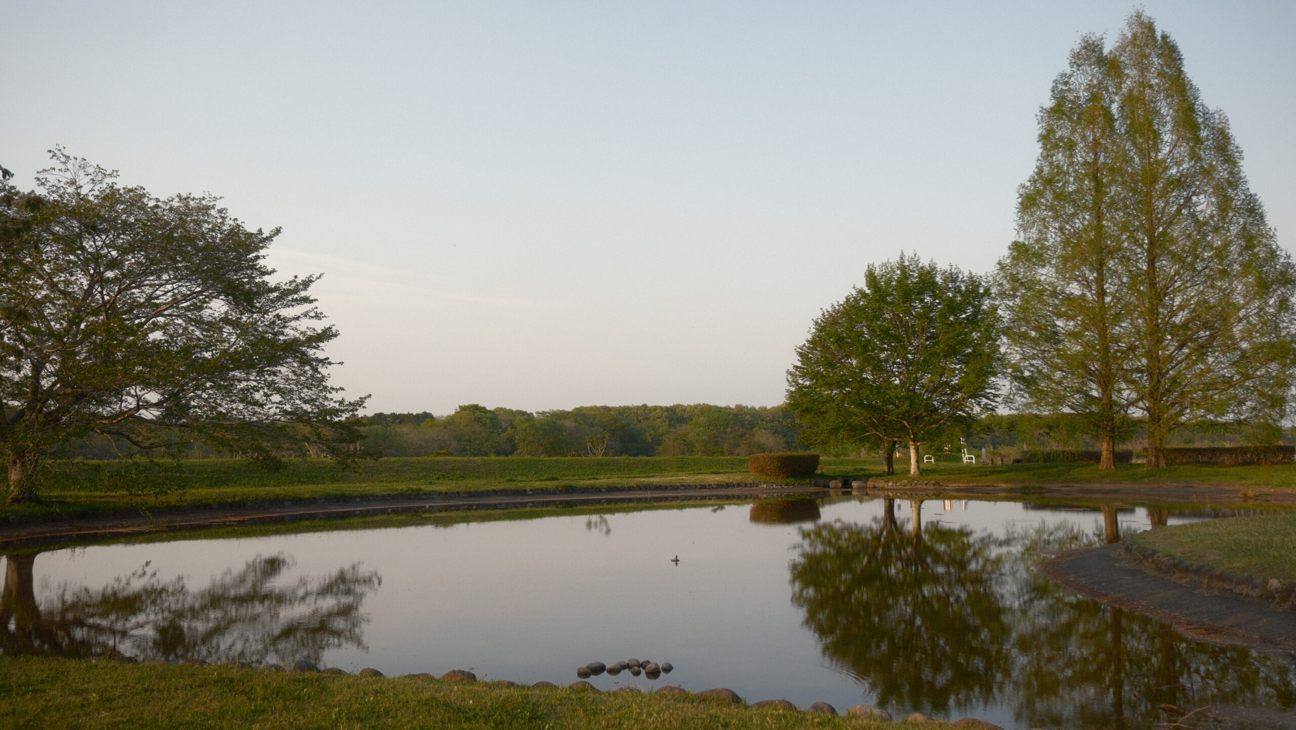 上河内緑水公園　池