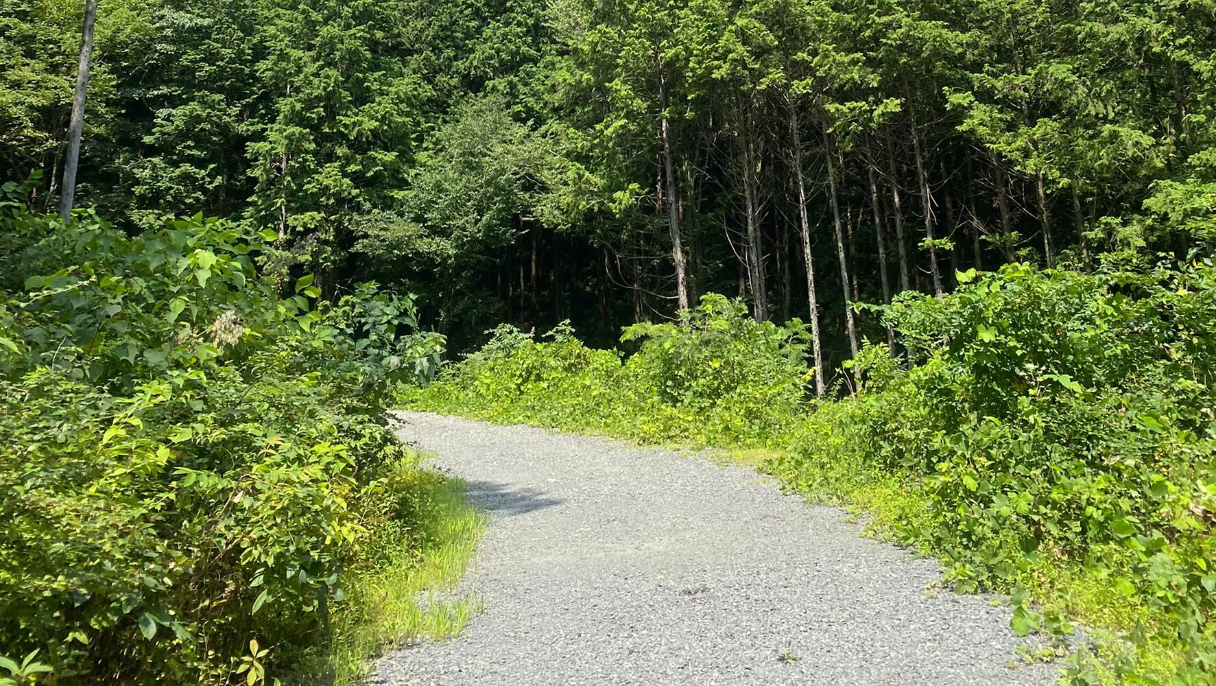 登山道入口　古賀志山