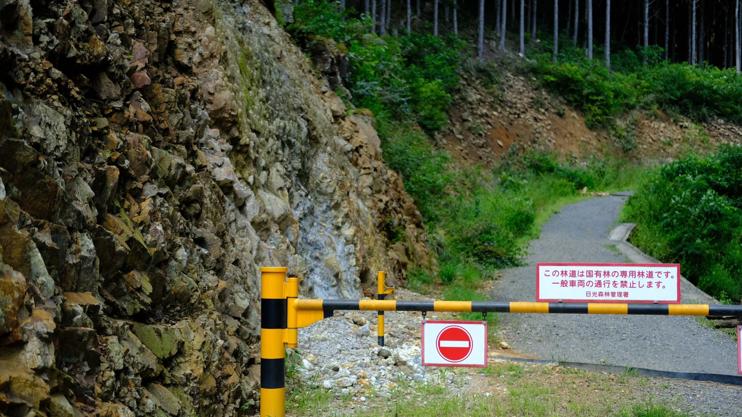 登山道入口　古賀志山