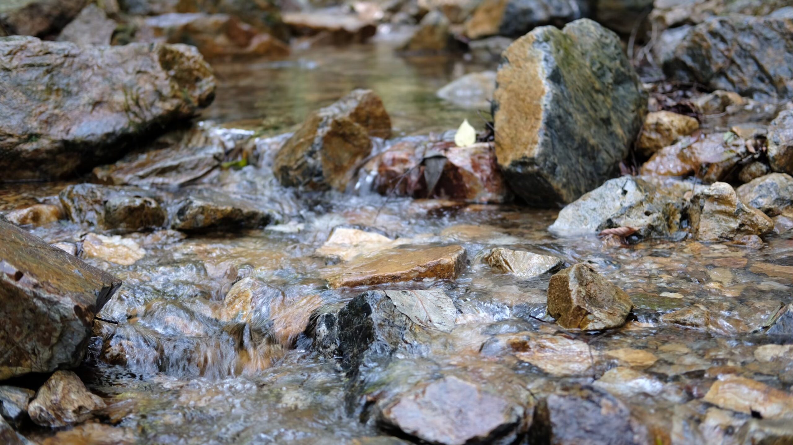 水汲み　古賀志山
