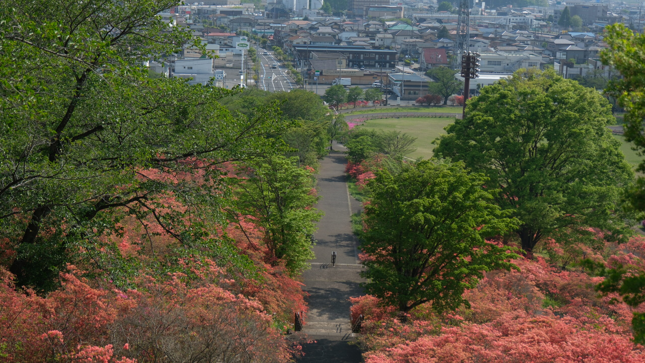 長峰公園　シンボルタワー　ツツジ
