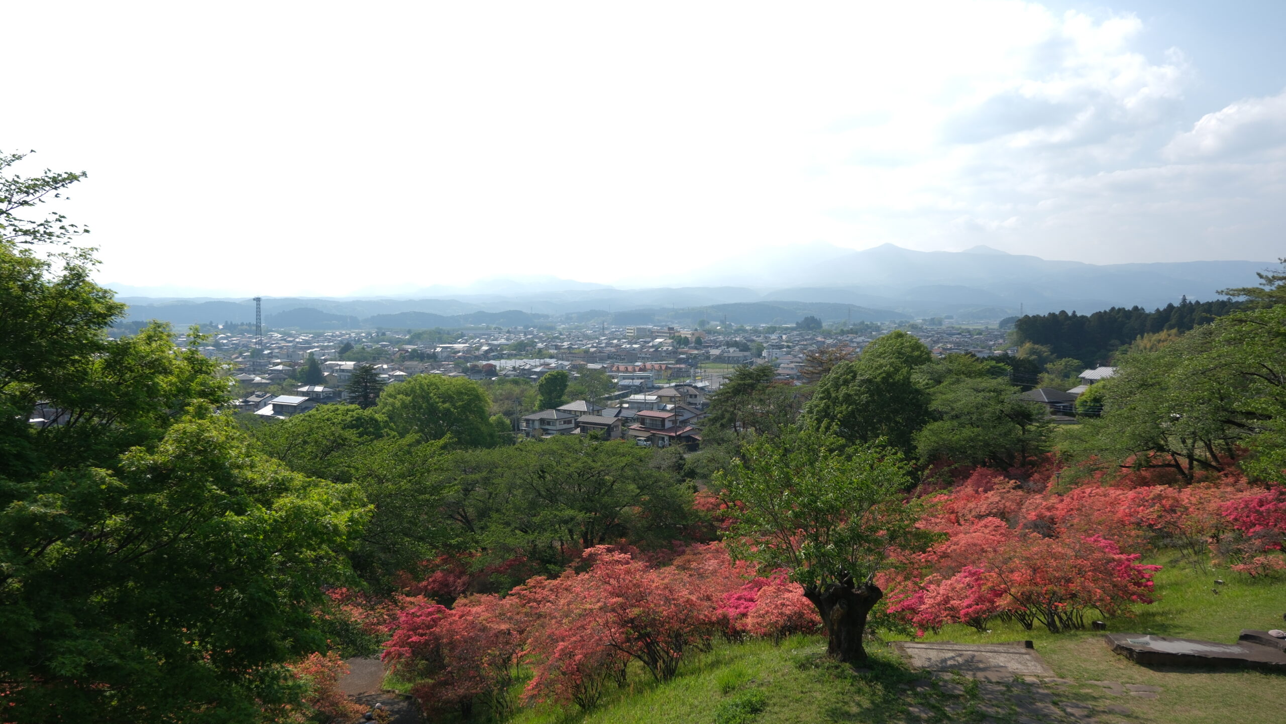 長峰公園　シンボルタワー　ツツジ