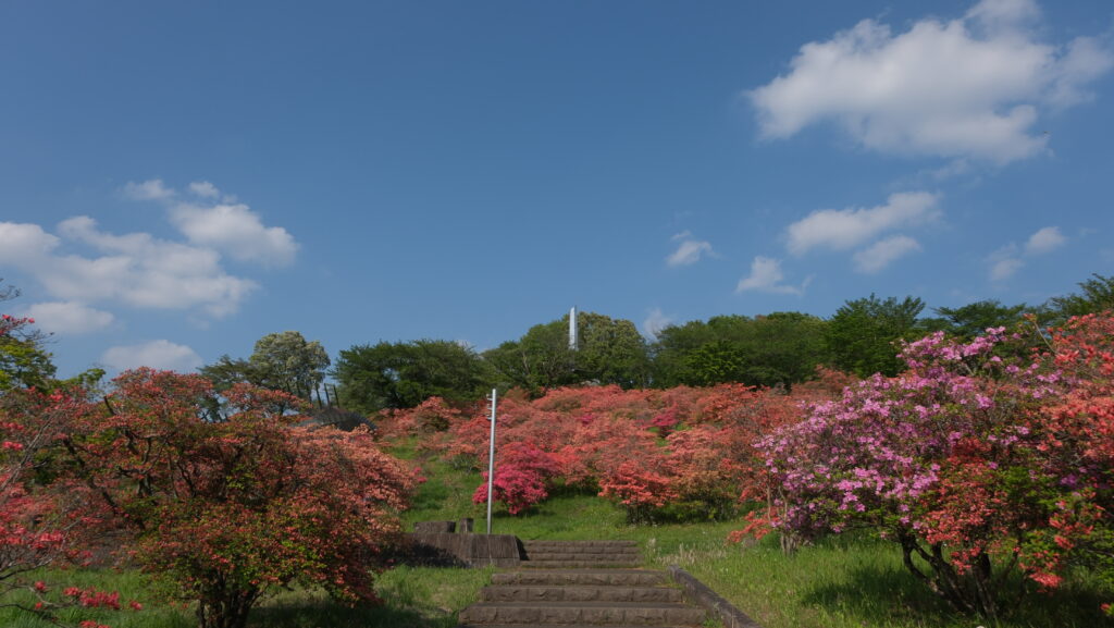 長峰公園 栃木