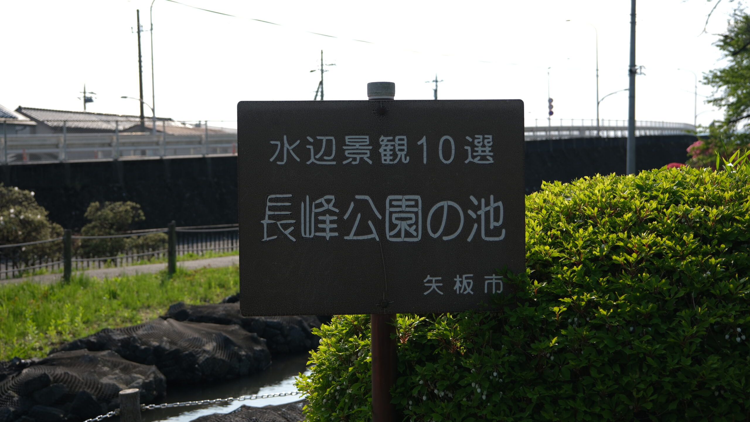 長峰公園　池