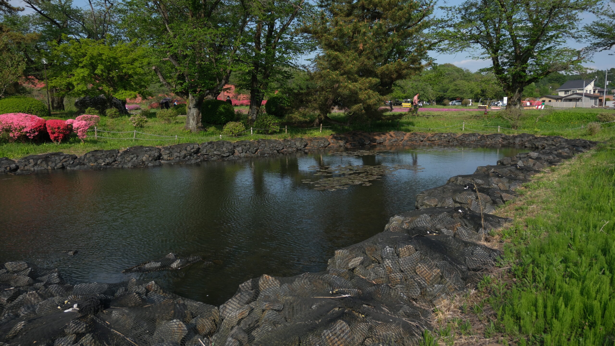 長峰公園　池