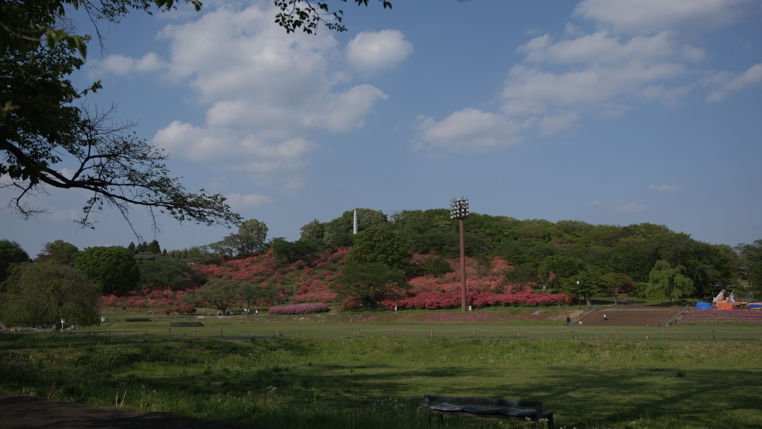 長峰公園　