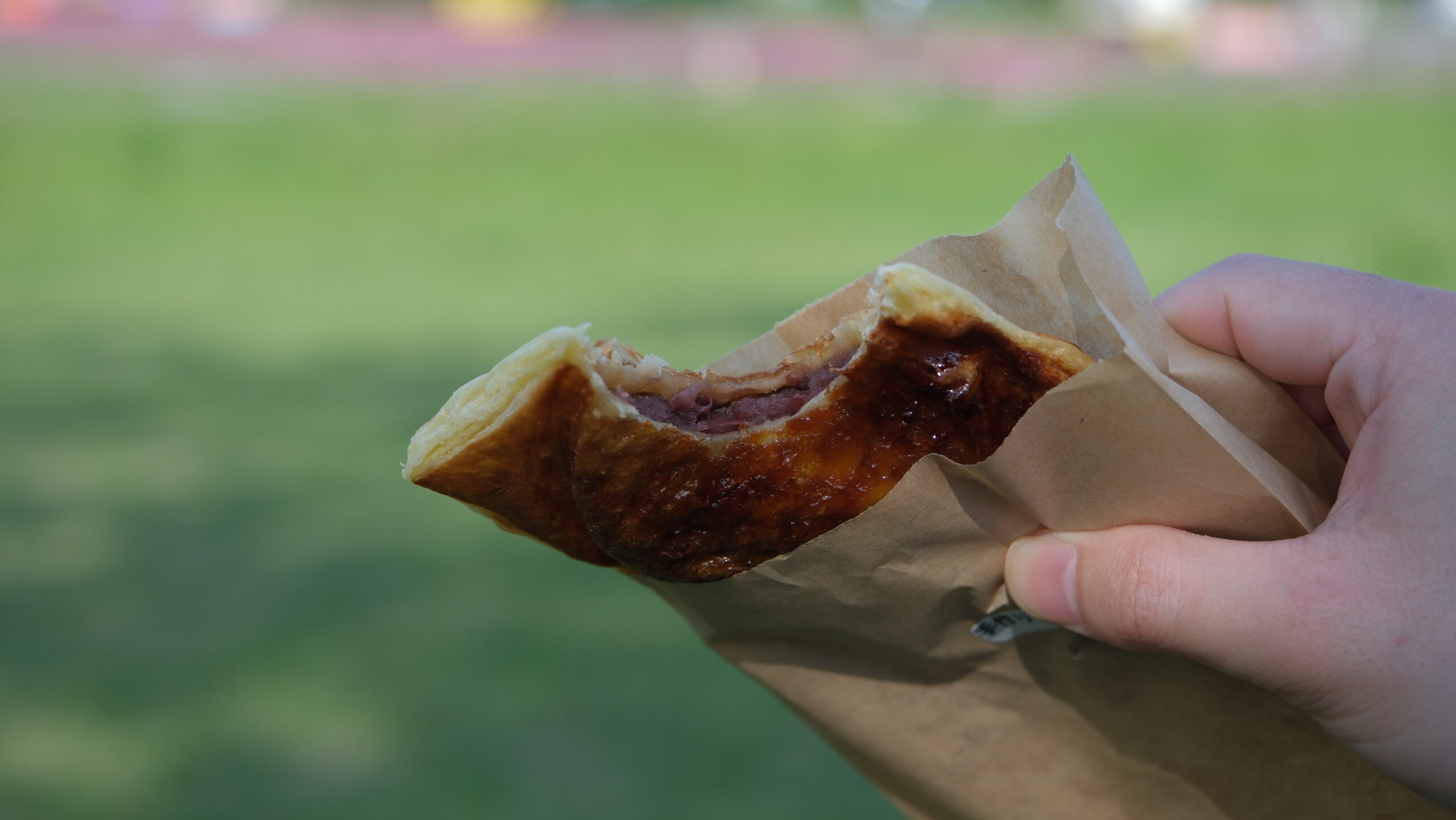 クロワッサンたい焼き　つぶあん　あん姫