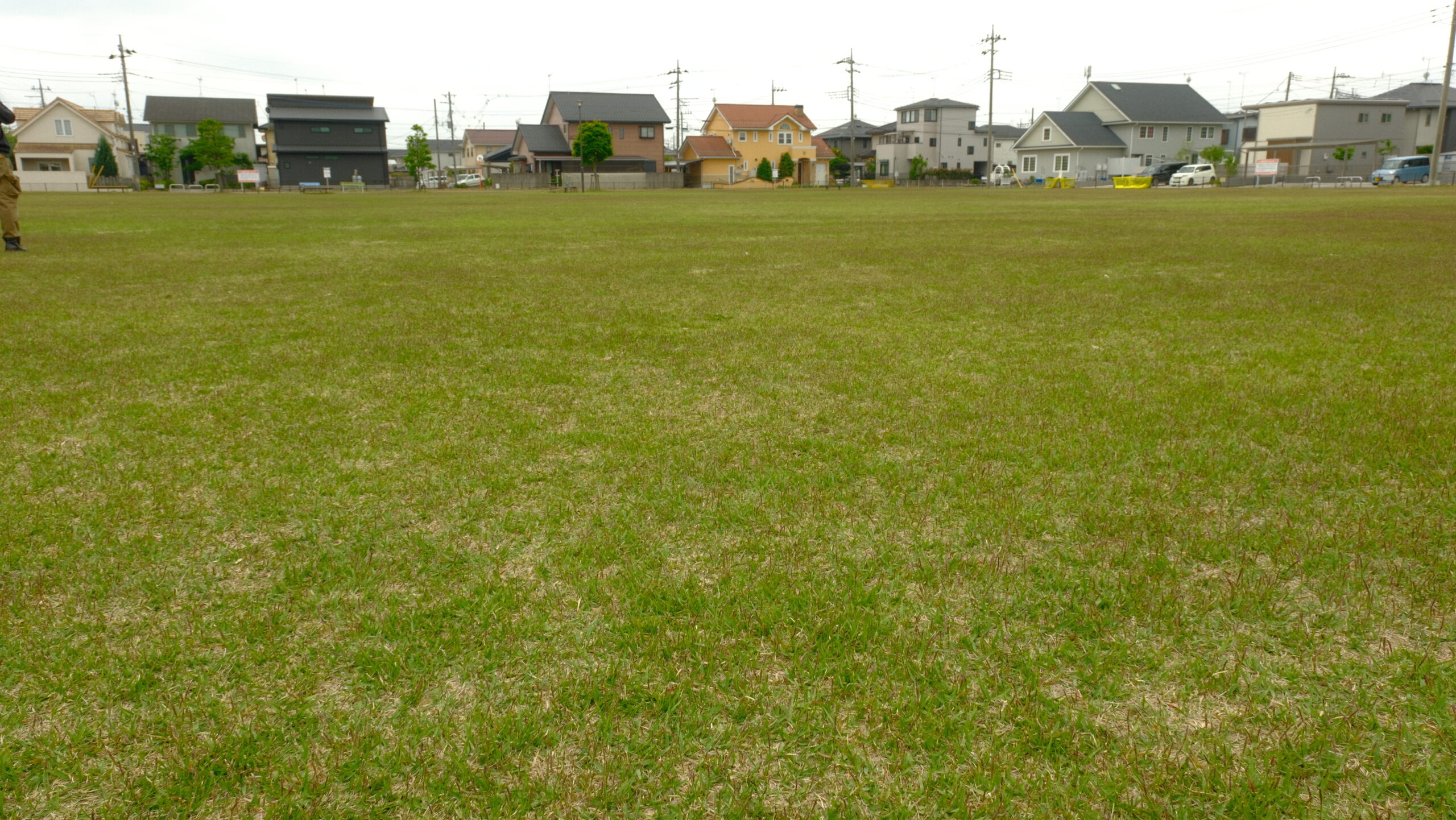 文教公園　広場
