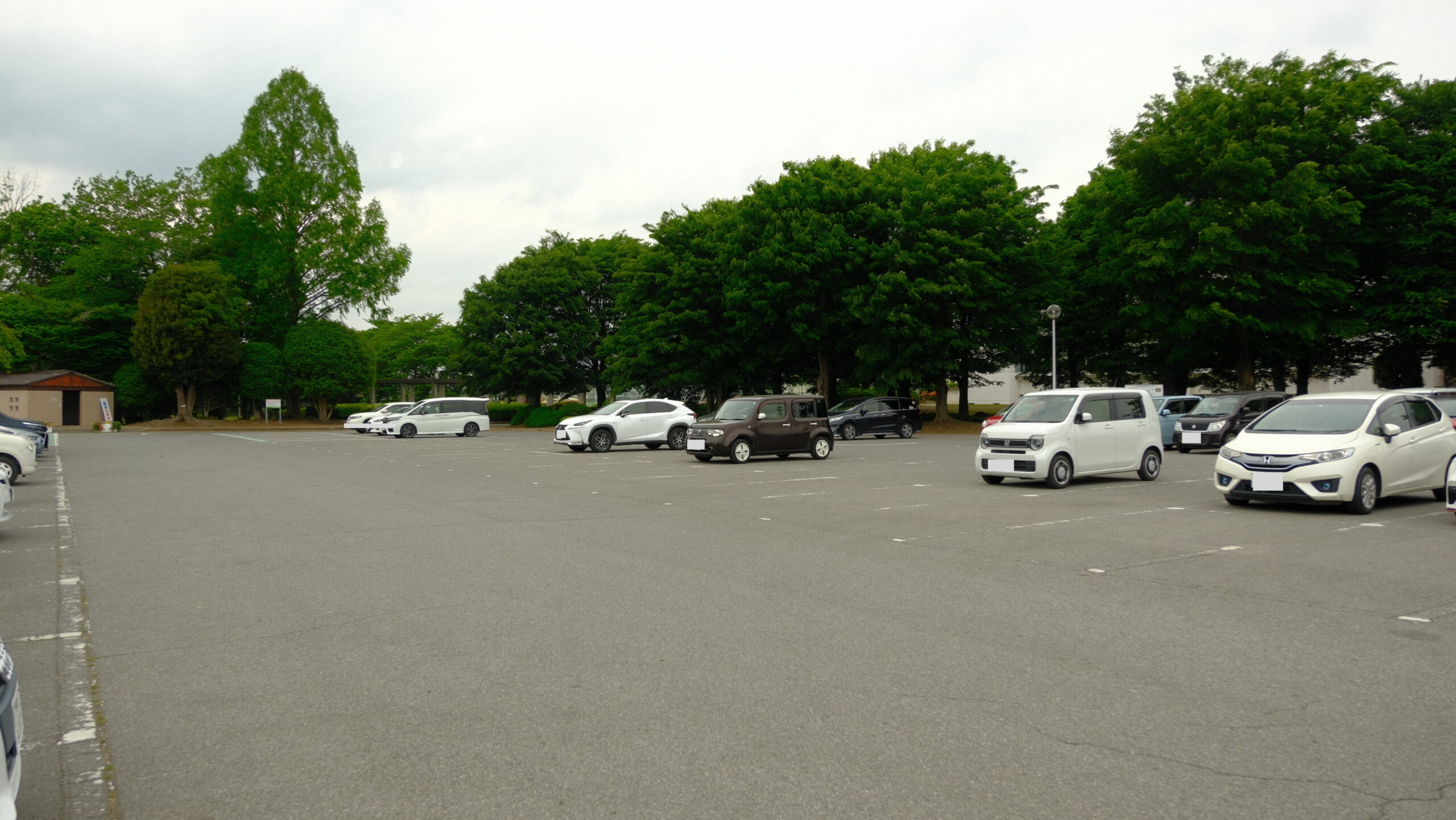 大松山運動公園　駐車場
