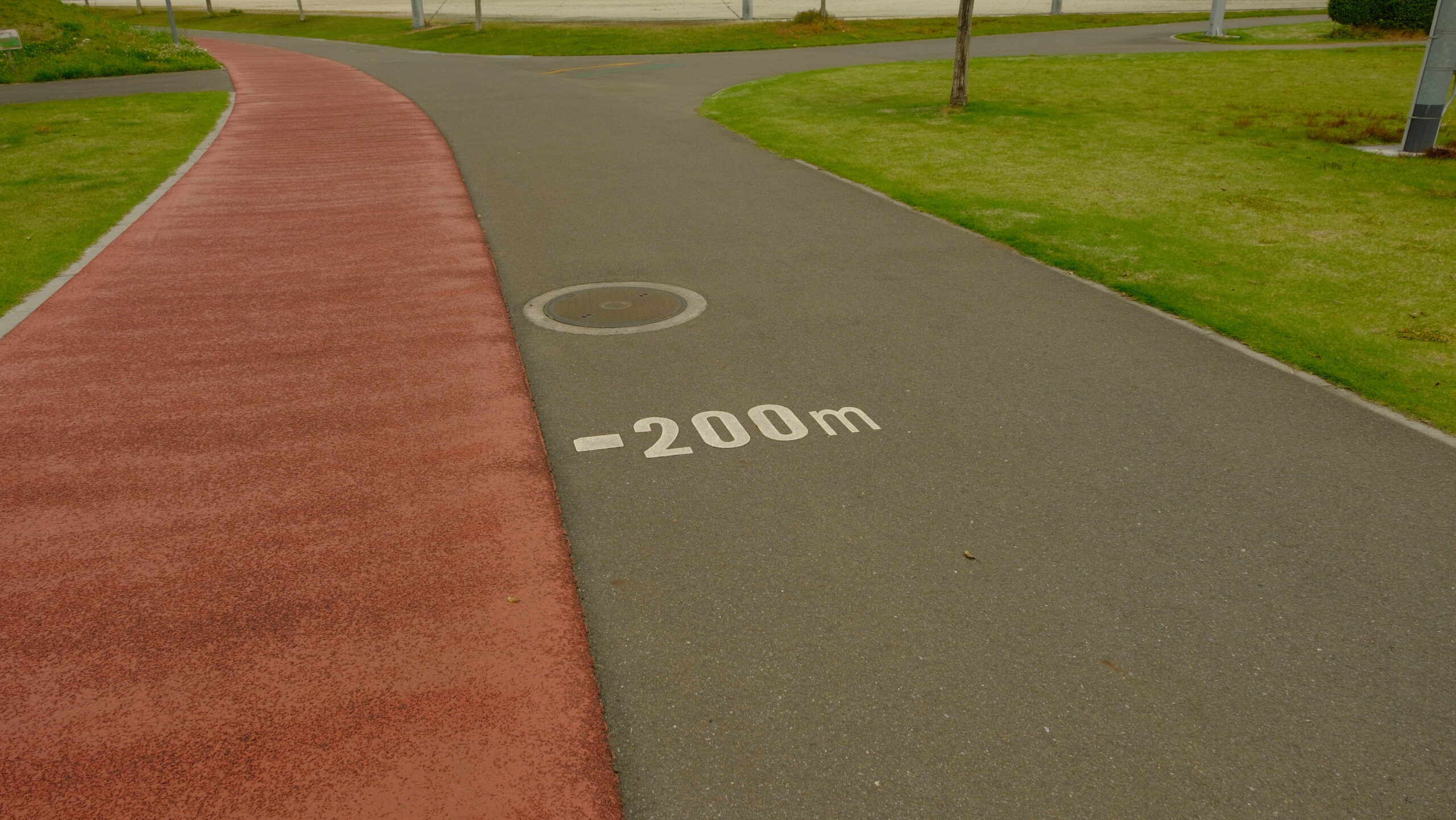 大松山運動公園　ウォーキング　ランニングコース