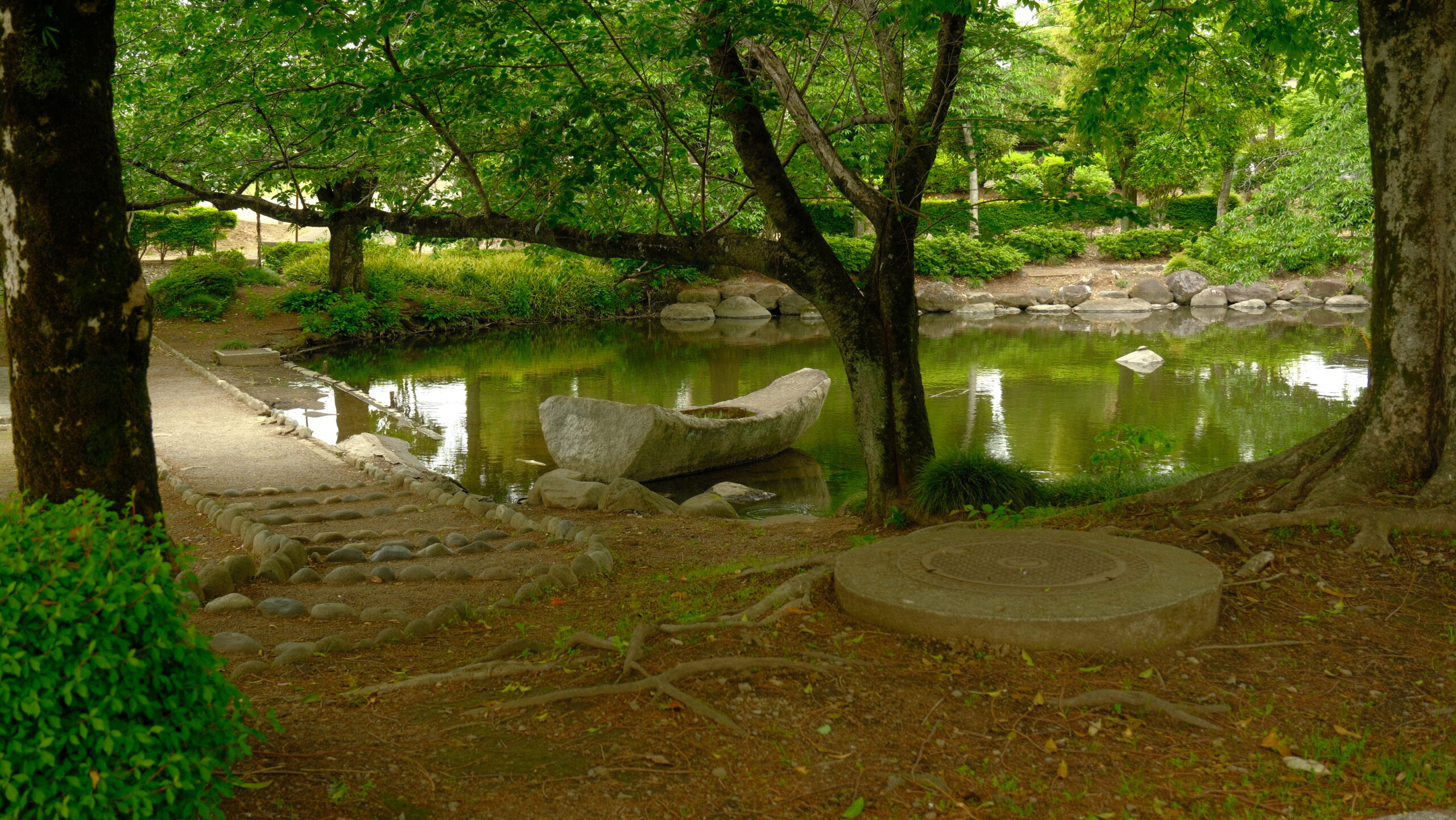 大松山運動公園　池