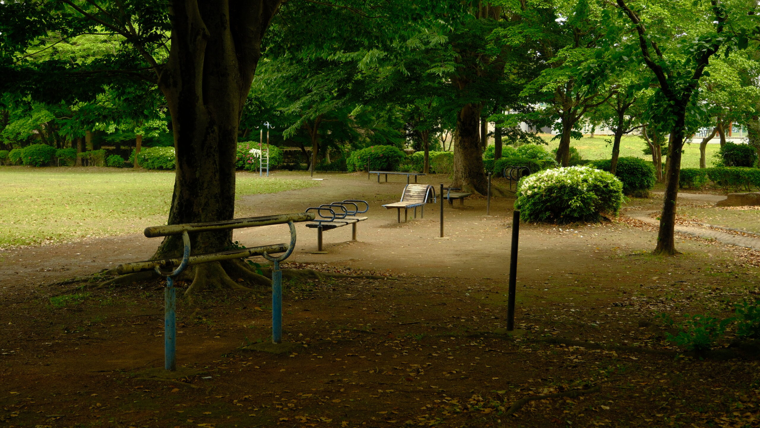 大松山運動公園　ピクニック広場