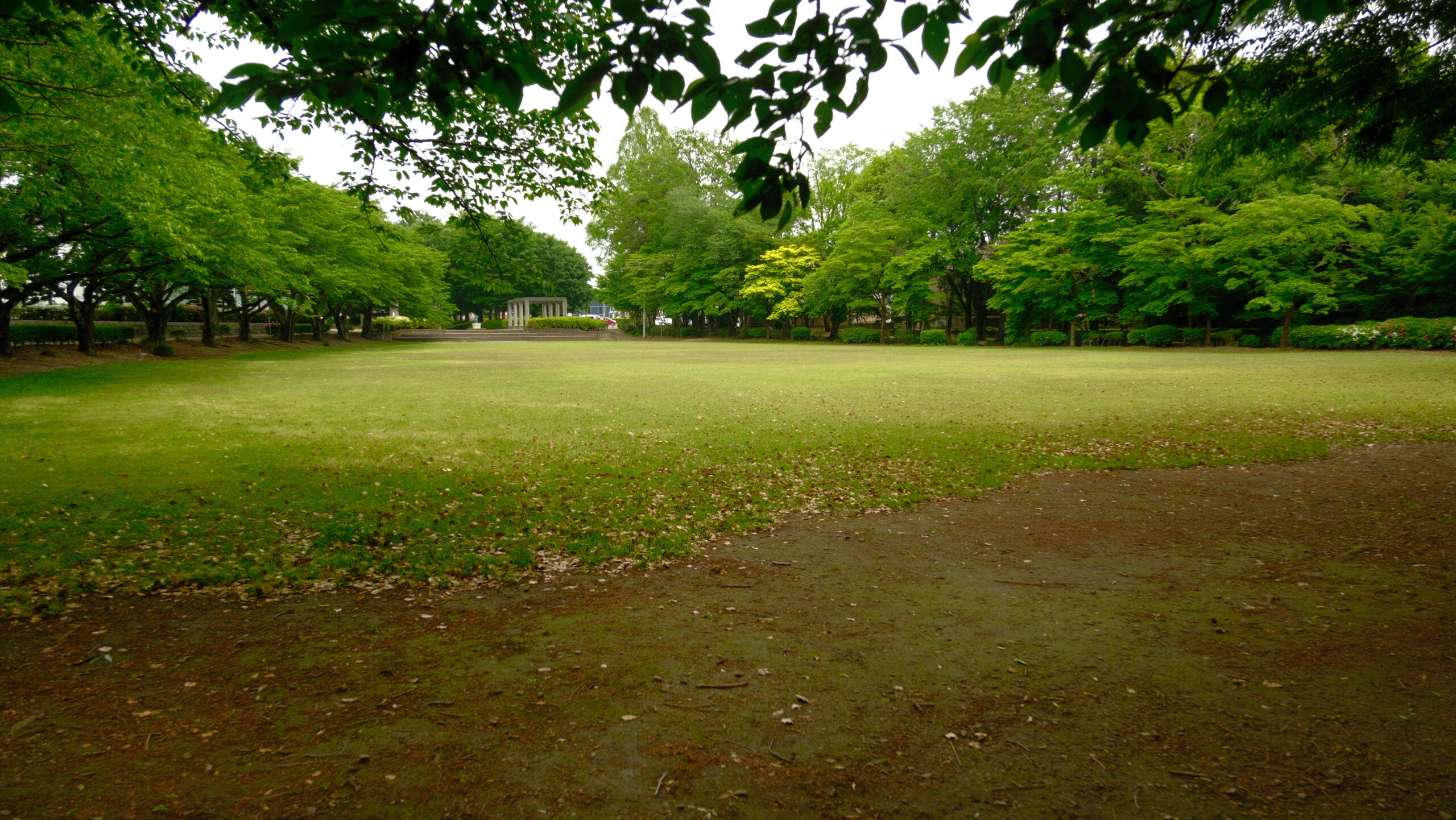 大松山運動公園　ピクニック広場