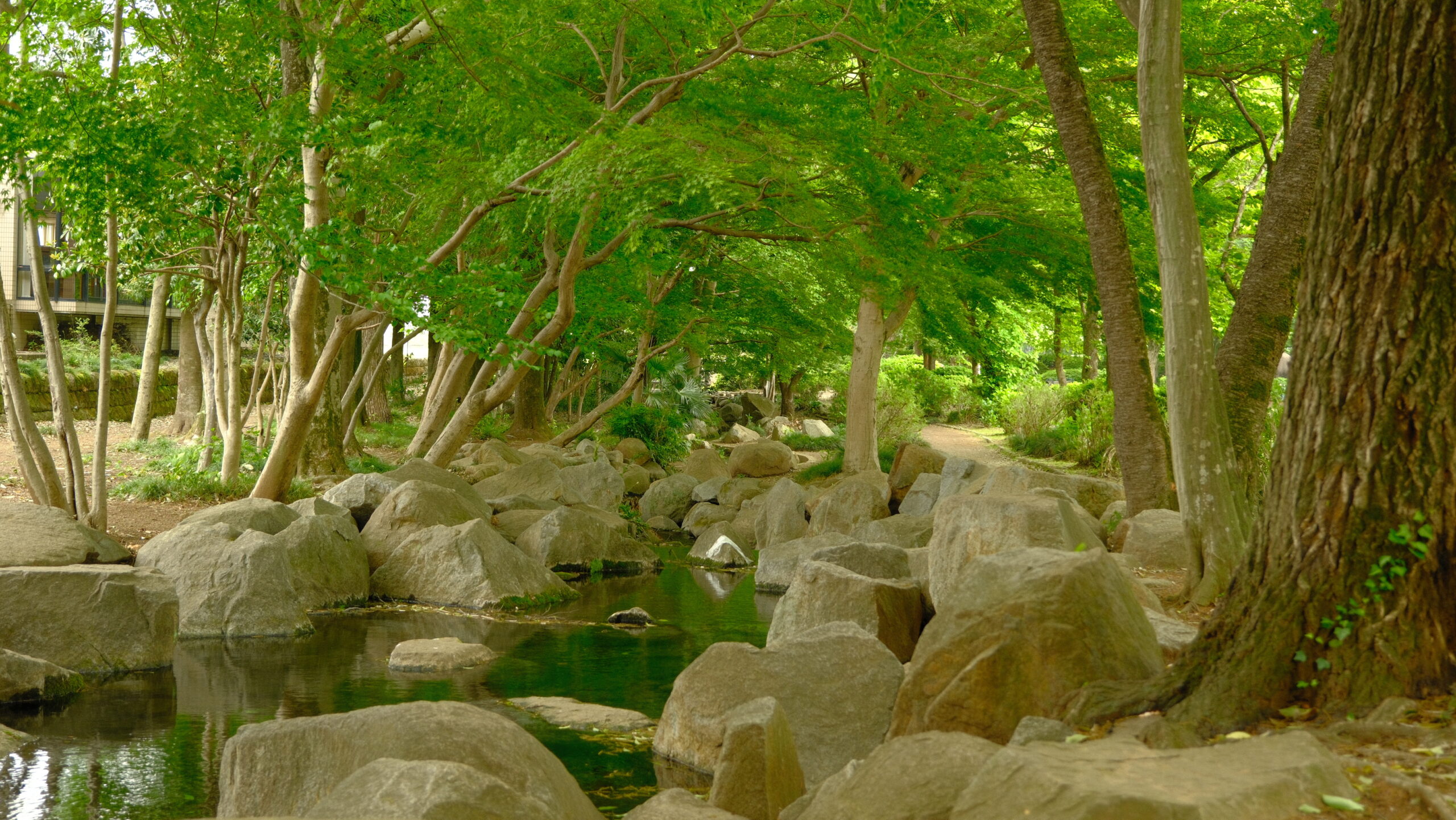 大松山運動公園　池