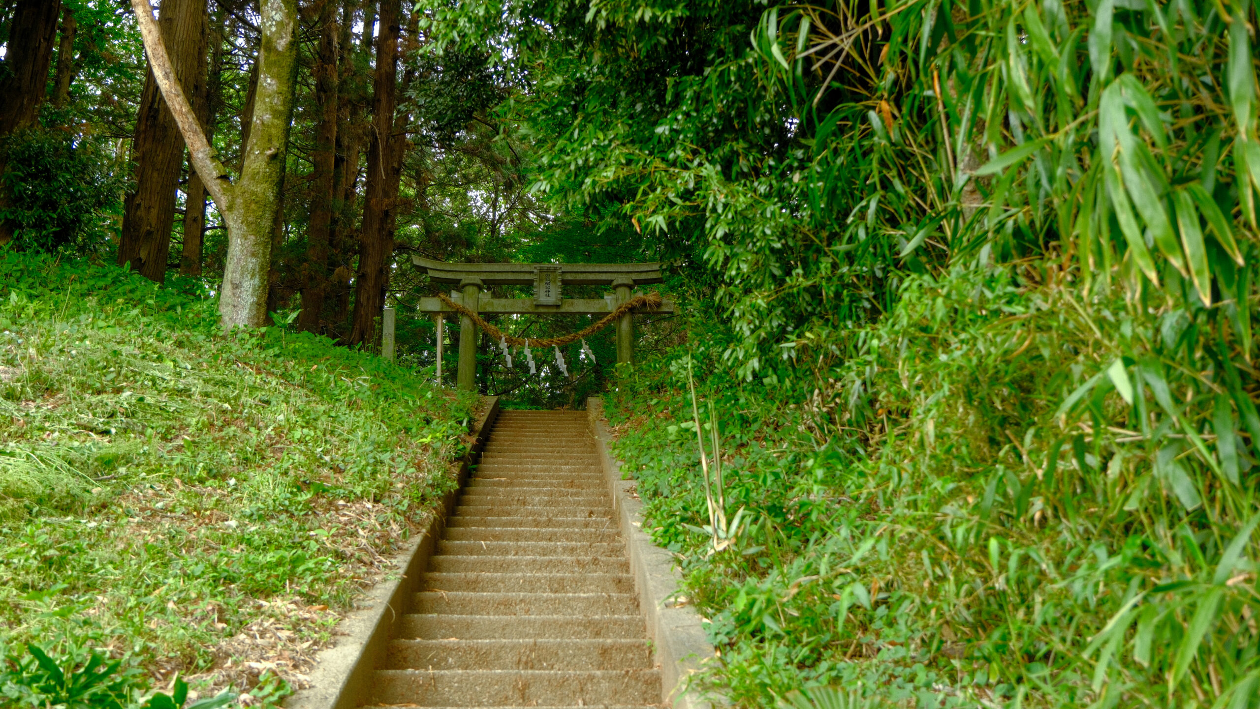 磐裂根裂神社　下野市　階段