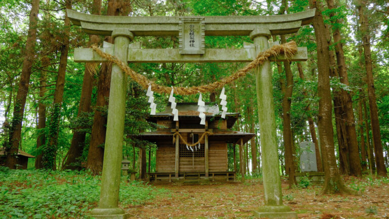 磐裂根裂神社　下野市　石鳥居