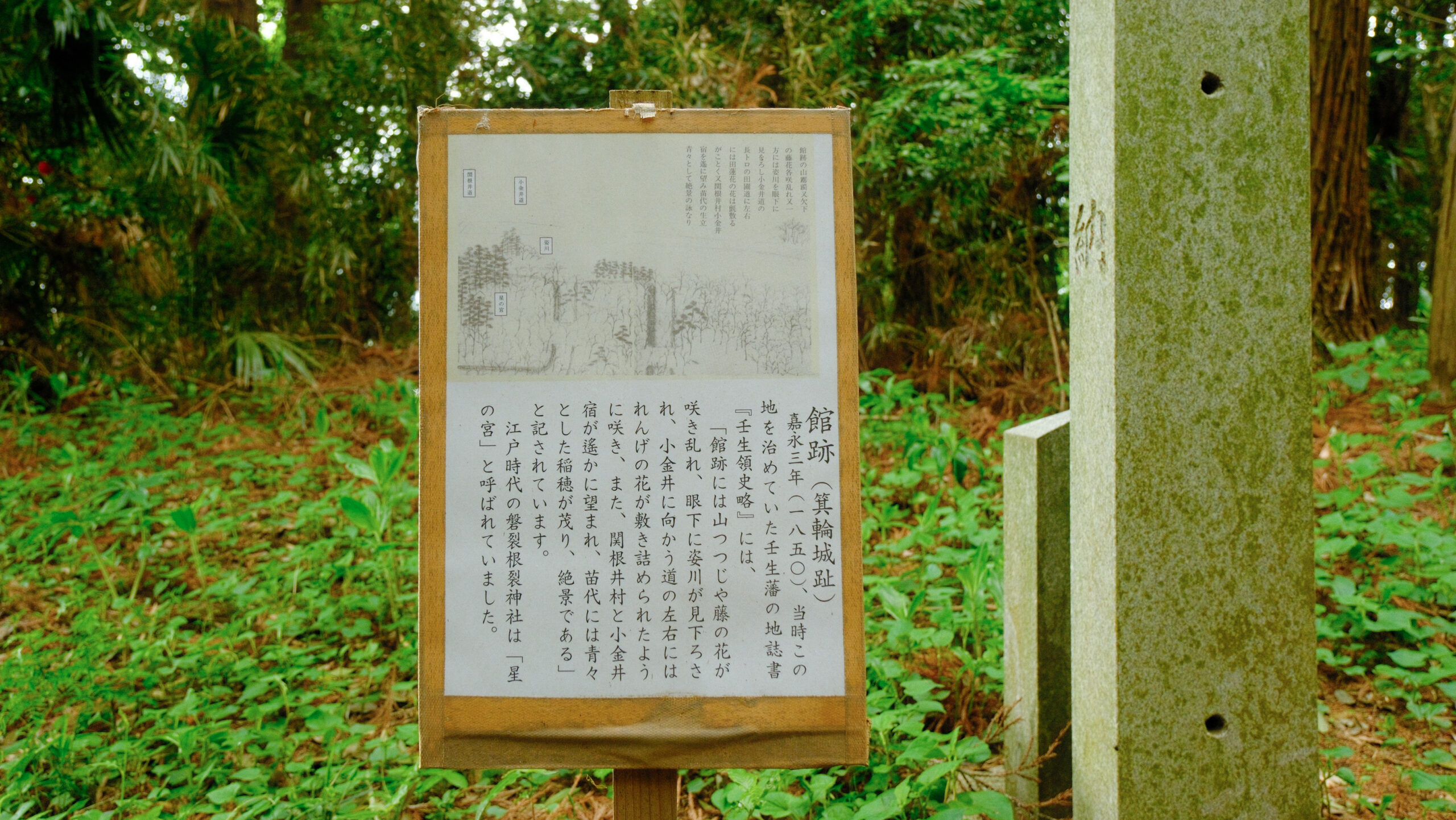 磐裂根裂神社　下野市　箕輪城跡