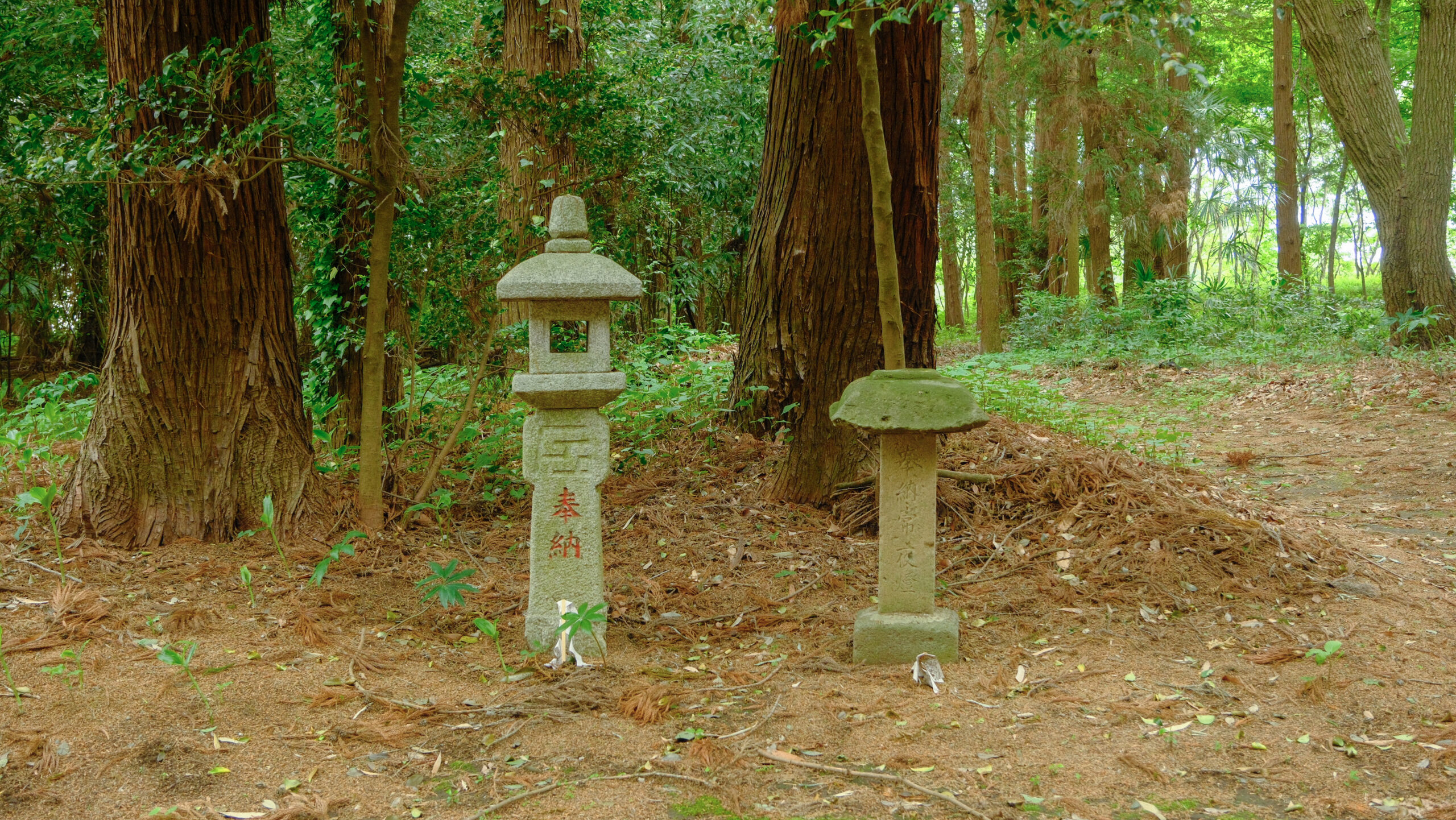 磐裂根裂神社　下野市　灯篭