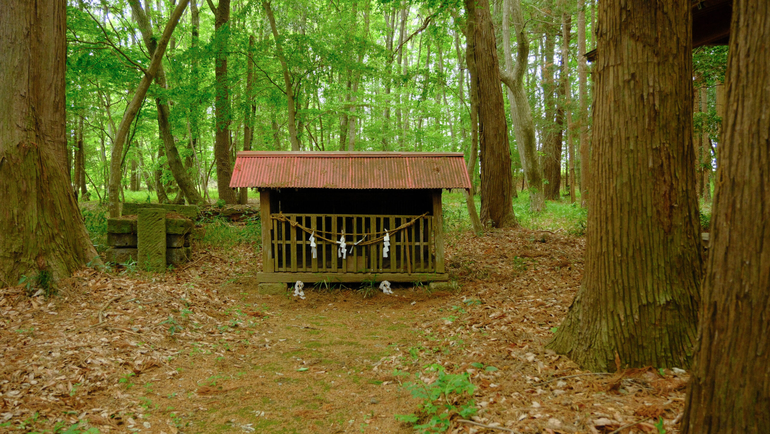 磐裂根裂神社　下野市