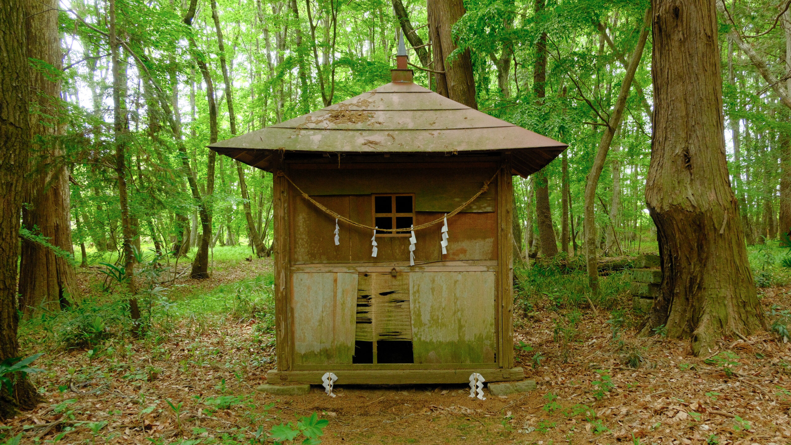 磐裂根裂神社　下野市