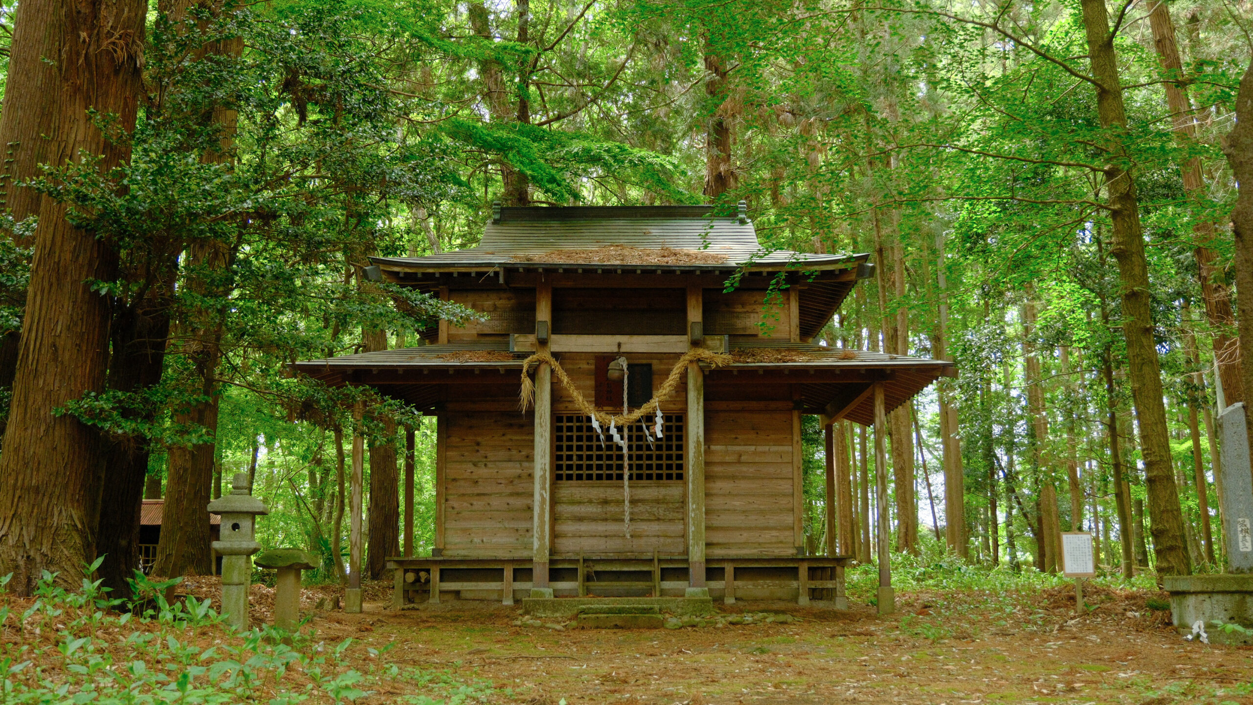 磐裂根裂神社　下野市