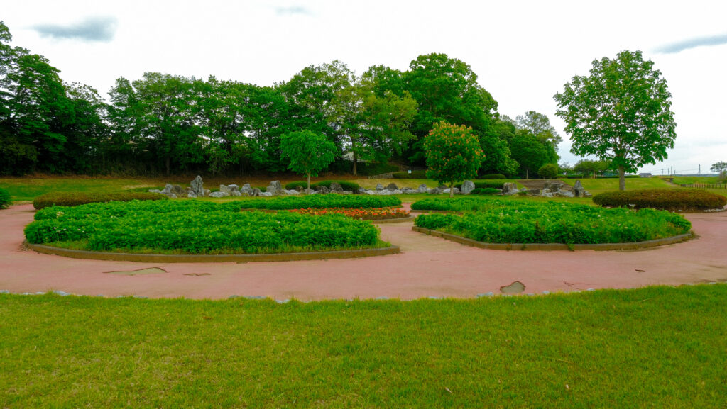 蔓巻公園　花広場