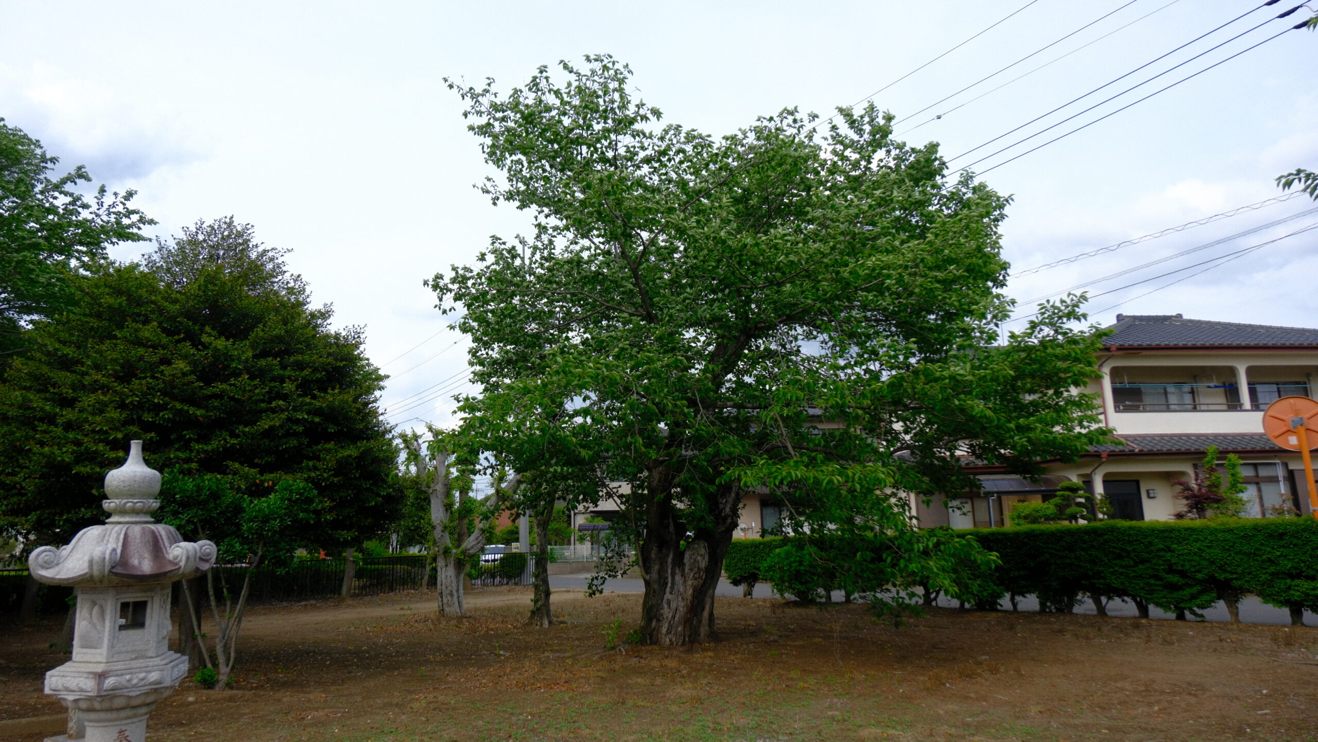 八龍神社　小金井　下野市