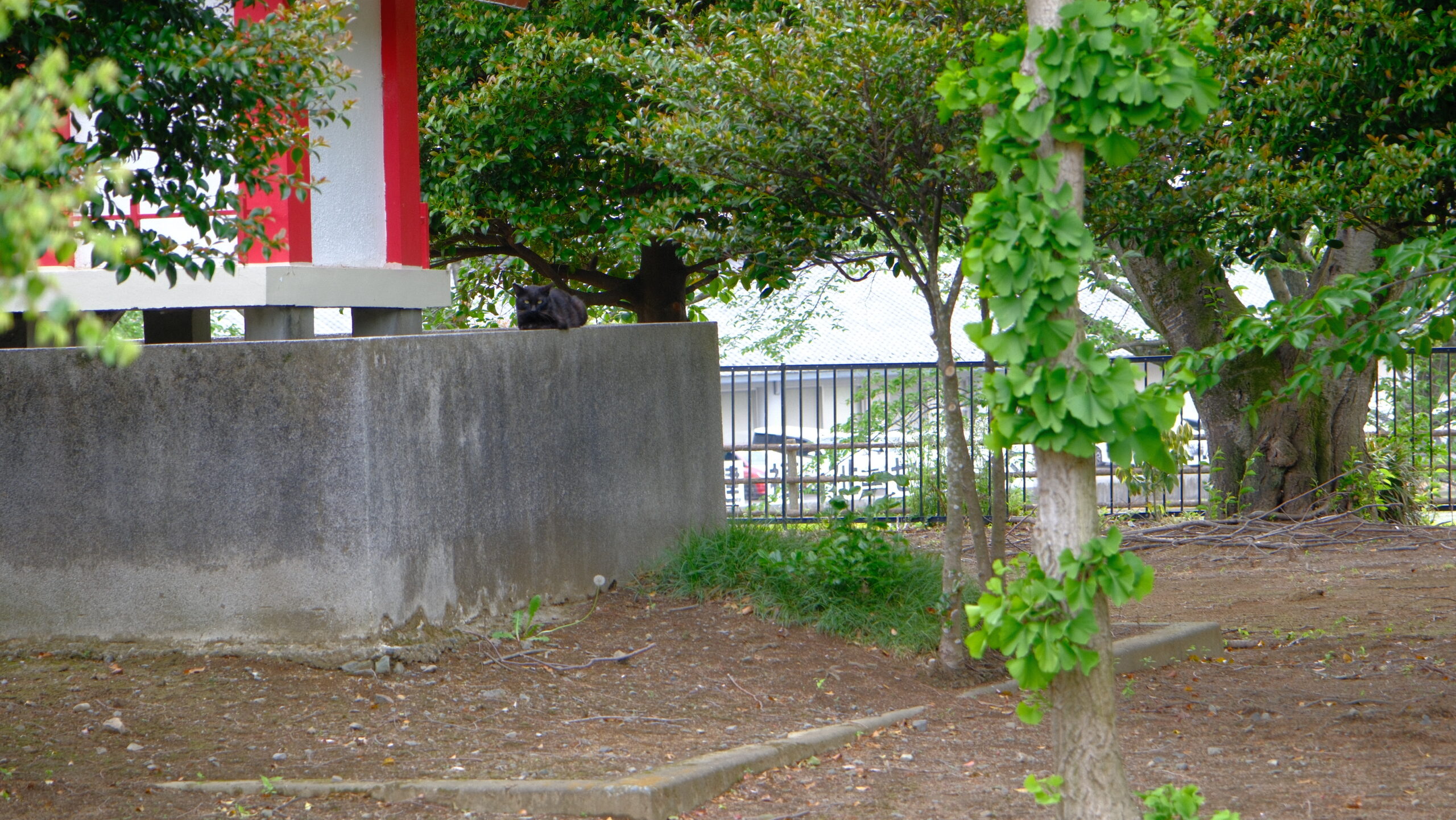 八龍神社　小金井　下野市