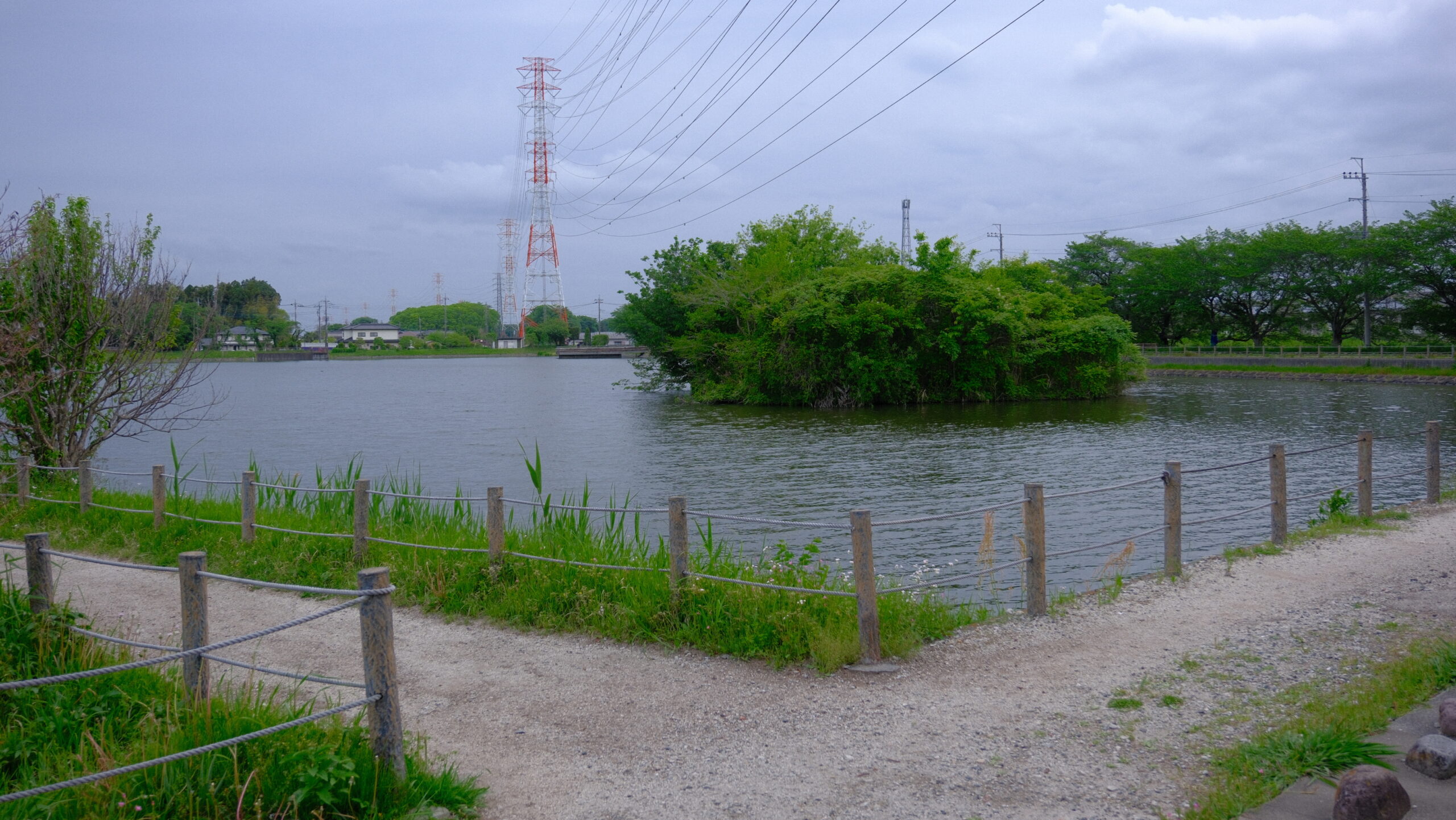 大沼公園　栃木県　無人島