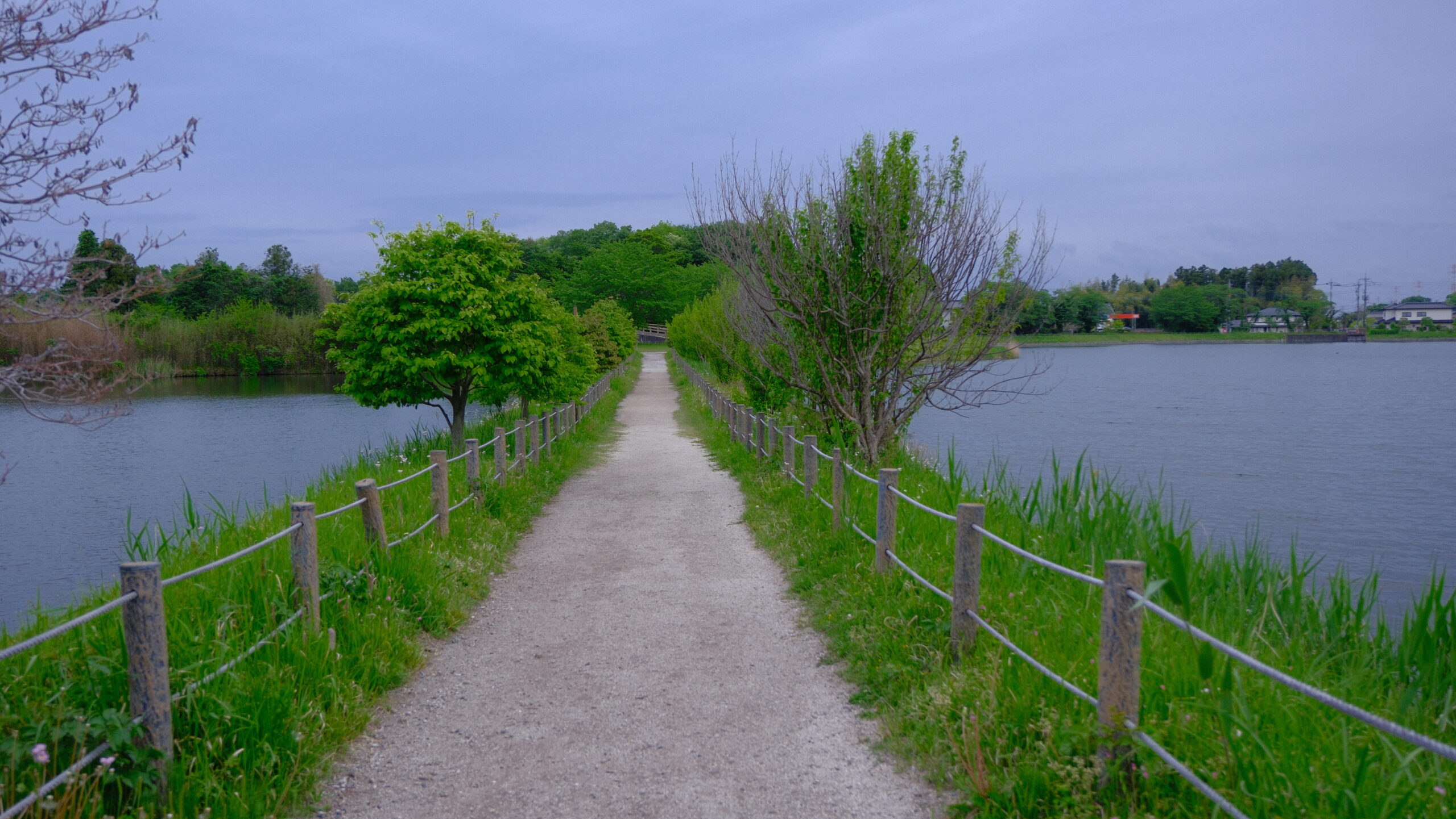 大沼公園　栃木県